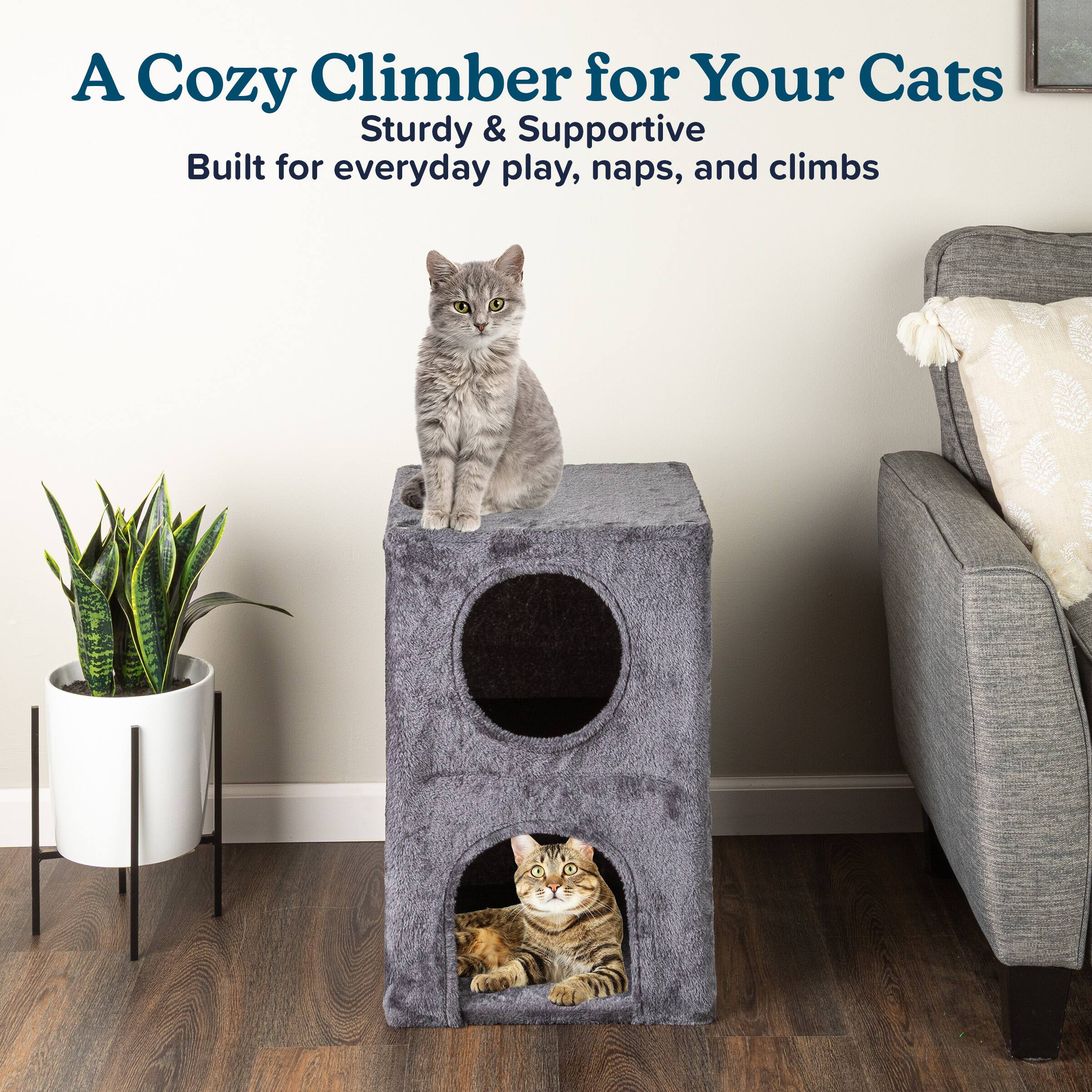 A Cozy Climber for Your Cats  
Sturdy & Supportive  
Built for everyday play, naps, and climbs