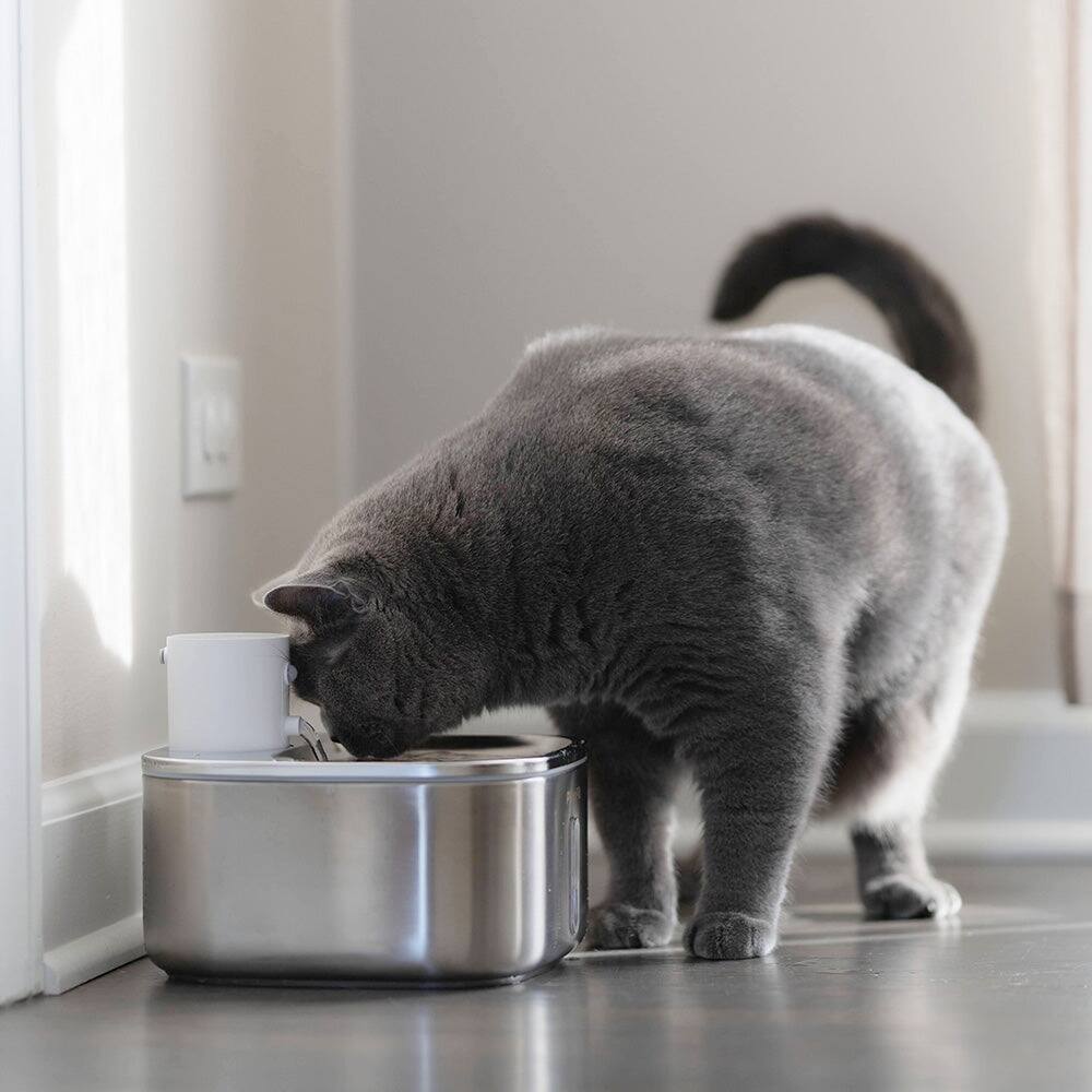 Alt View 5. PawsPik - PawsPik BOSS-01 Stainless Steel Rechargeable Battery Operated Cat & Small Dog Water Fountain, 108.2-oz - silver.