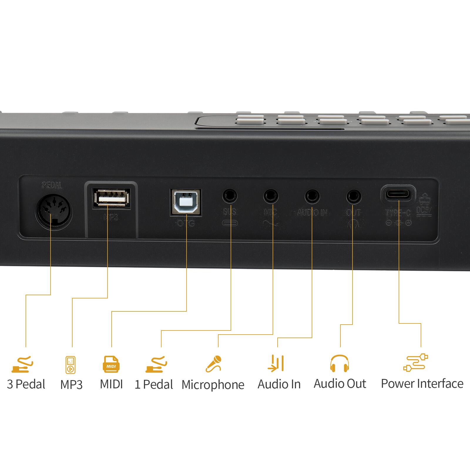 PEDAL 5 1P3 OTG SUS E MD ? AUDIO IN OUT N DCS/ TP-C

MAILAI 3 Pedal MP3 MIDI 1 Pedal Microphone Audio In Audio Out Power Interface