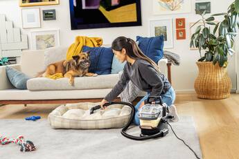 BISSELL Little Green HydroSteam Pet Corded Portable Deep Cleaner BISSELL Little Green HydroSteam Pet Corded Portable Deep Cleaner