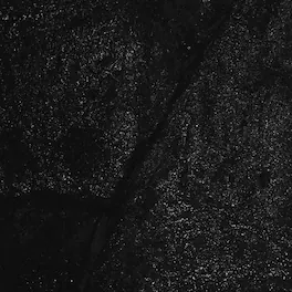 Vessel - Order of Noise - VINYL LP