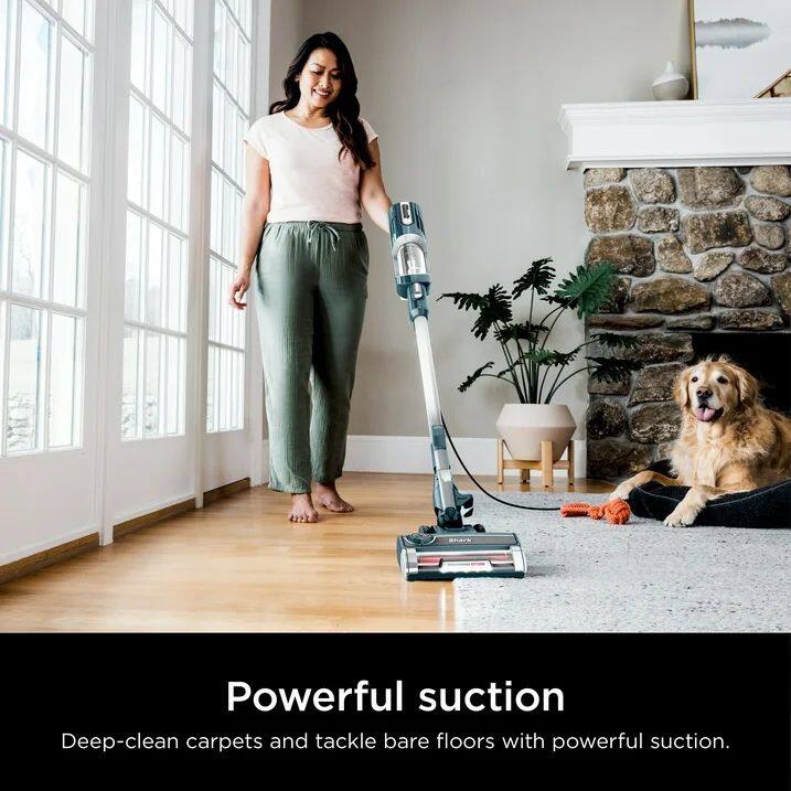 Powerful suction  
Deep-clean carpets and tackle bare floors with powerful suction.