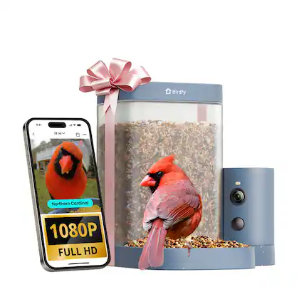 Birdfy 94
28 Jul
Northern Cardinal
1080P FULL HD