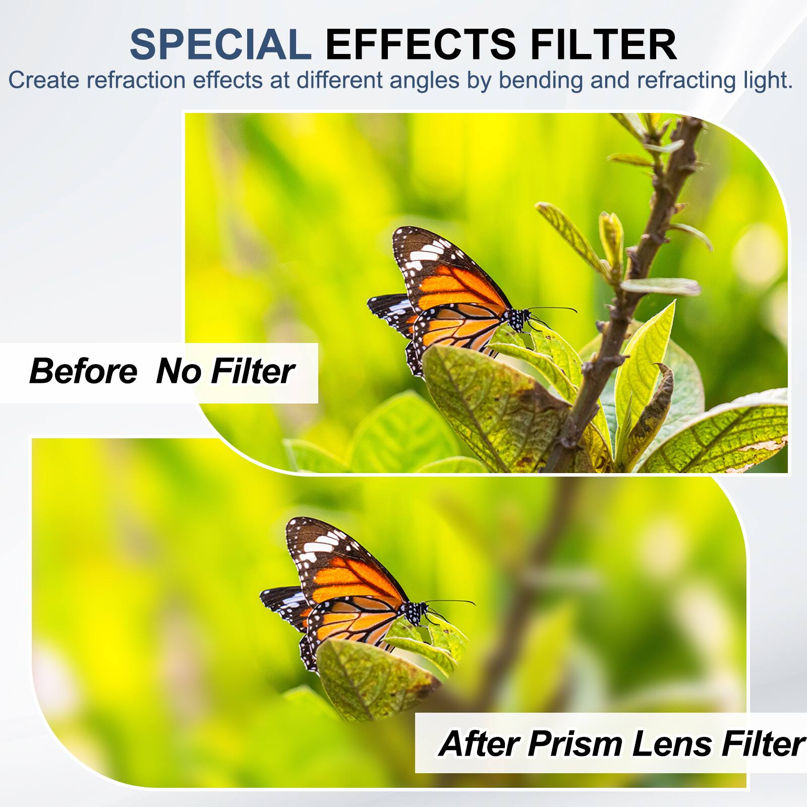 SPECIAL EFFECTS FILTER  
Create refraction effects at different angles by bending and refracting light.

Before No Filter

After Prism Lens Filter