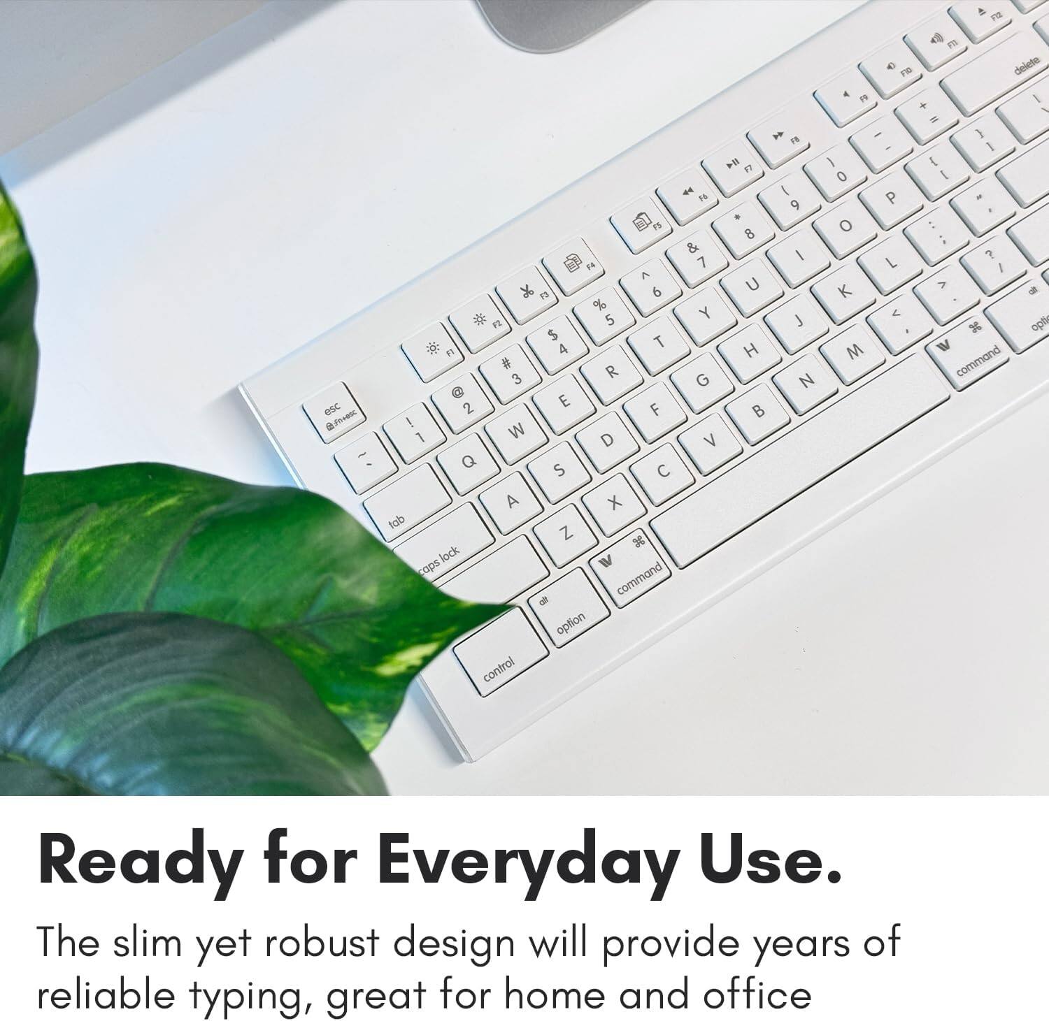 F m 43 1G delete FN I +   FH - ] I I4 I i 17 0 I I P 14  FS 8 o & I ? FN 7 L I A U V  12 6 K - % Y < FE 5 J x opti $ T " 4 H M W # R command 3 G N G E esc 2 F B Fesc ! W 1 D V - : Q S C A x tab Z x lock caps command - option control Ready for Everyday Use. The slim yet robust design will provide years of reliable typing, great for home and office.