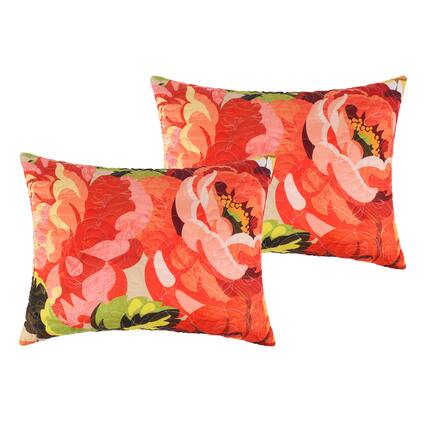 Front. BreeBe - Senna Sham Standard - Harvest.