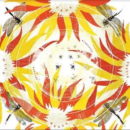 Alabaster Deplume - Come With Fierce Grace - VINYL LP