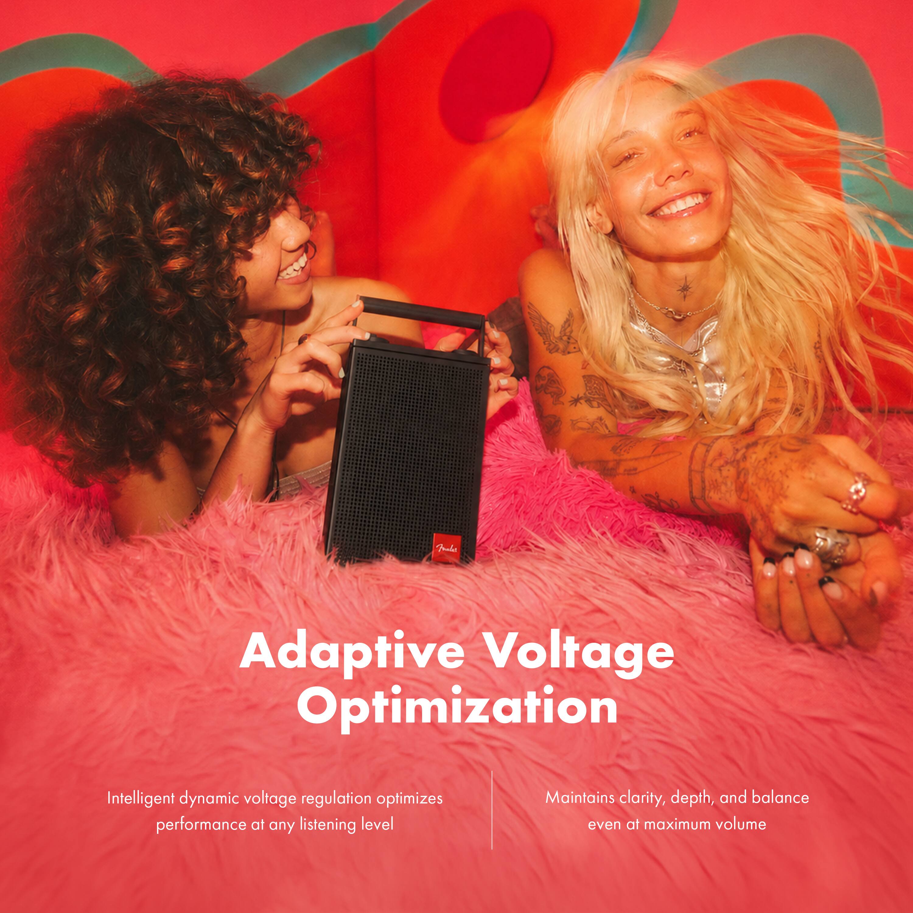 Adaptive Voltage Optimization

Intelligent dynamic voltage regulation optimizes performance at any listening level

Maintains clarity, depth, and balance even at maximum volume