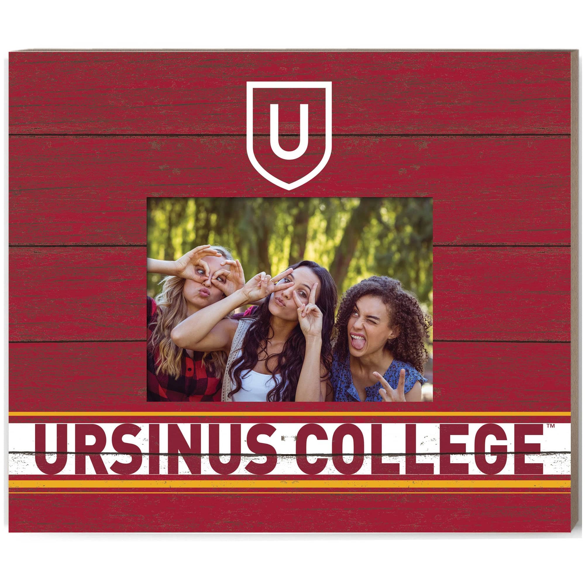 Jardine - Ursinus Bears 11'' x 13'' Team Spirit Scholastic Picture Frame - Red price history on PriceWatchPro