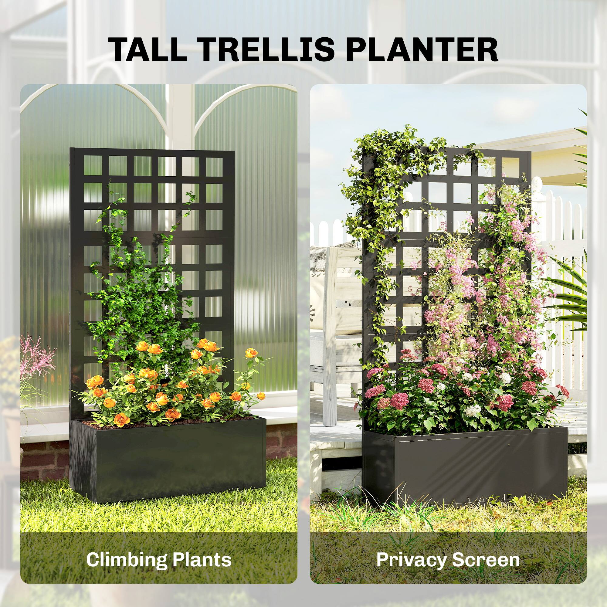 TALL TRELLIS PLANTER  
Climbing Plants  
Privacy Screen