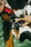 ... O Gopro sao -