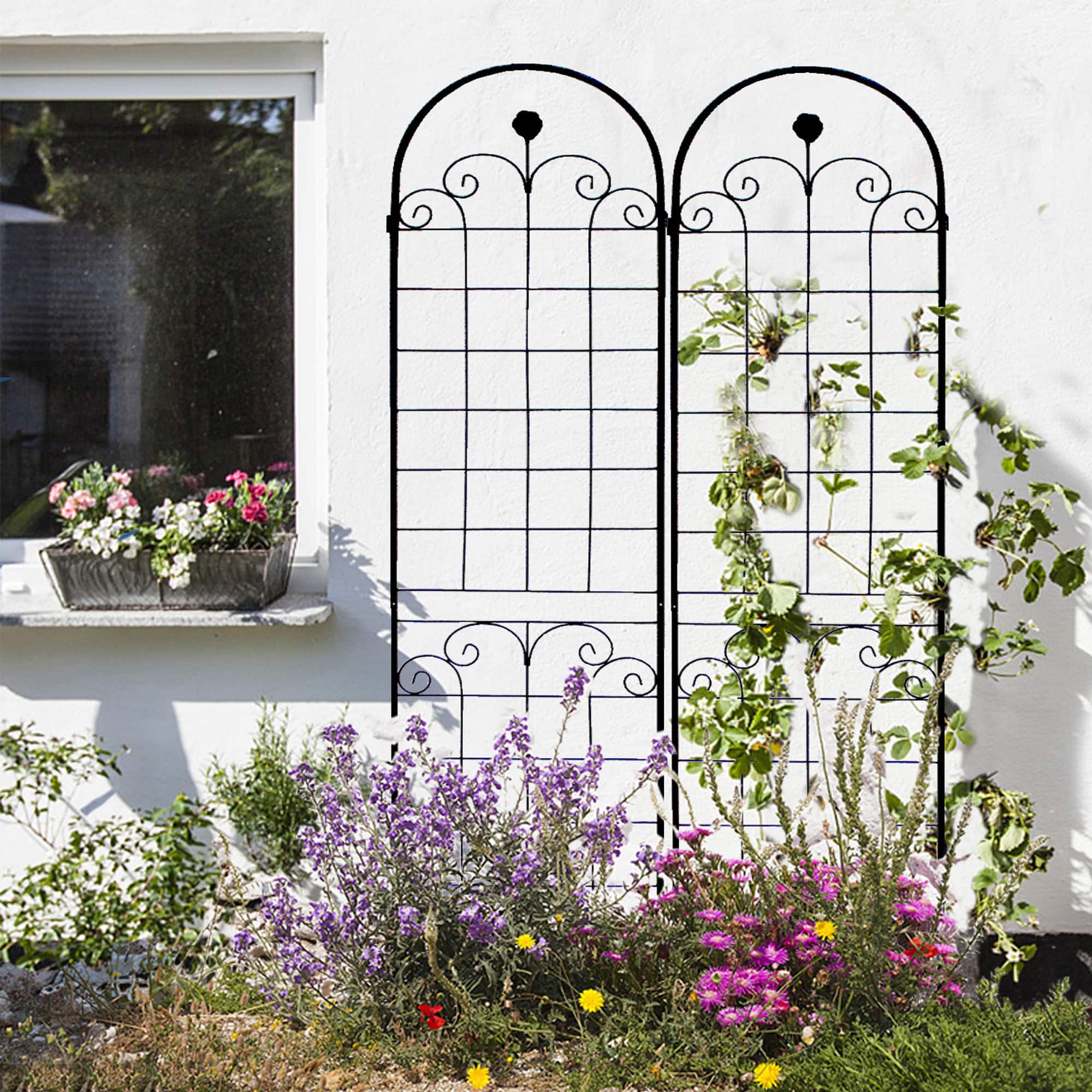 Loheer - 7.2 x 1.6 ft 4 Pack Metal Garden Trellis - Rustproof Outdoor Plant Support price history on PriceWatchPro