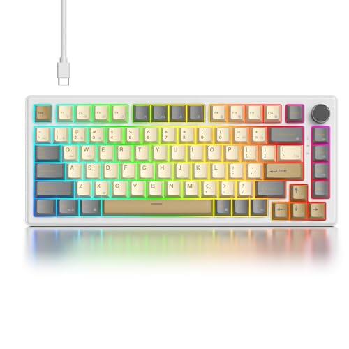 Shimmer/White Switch