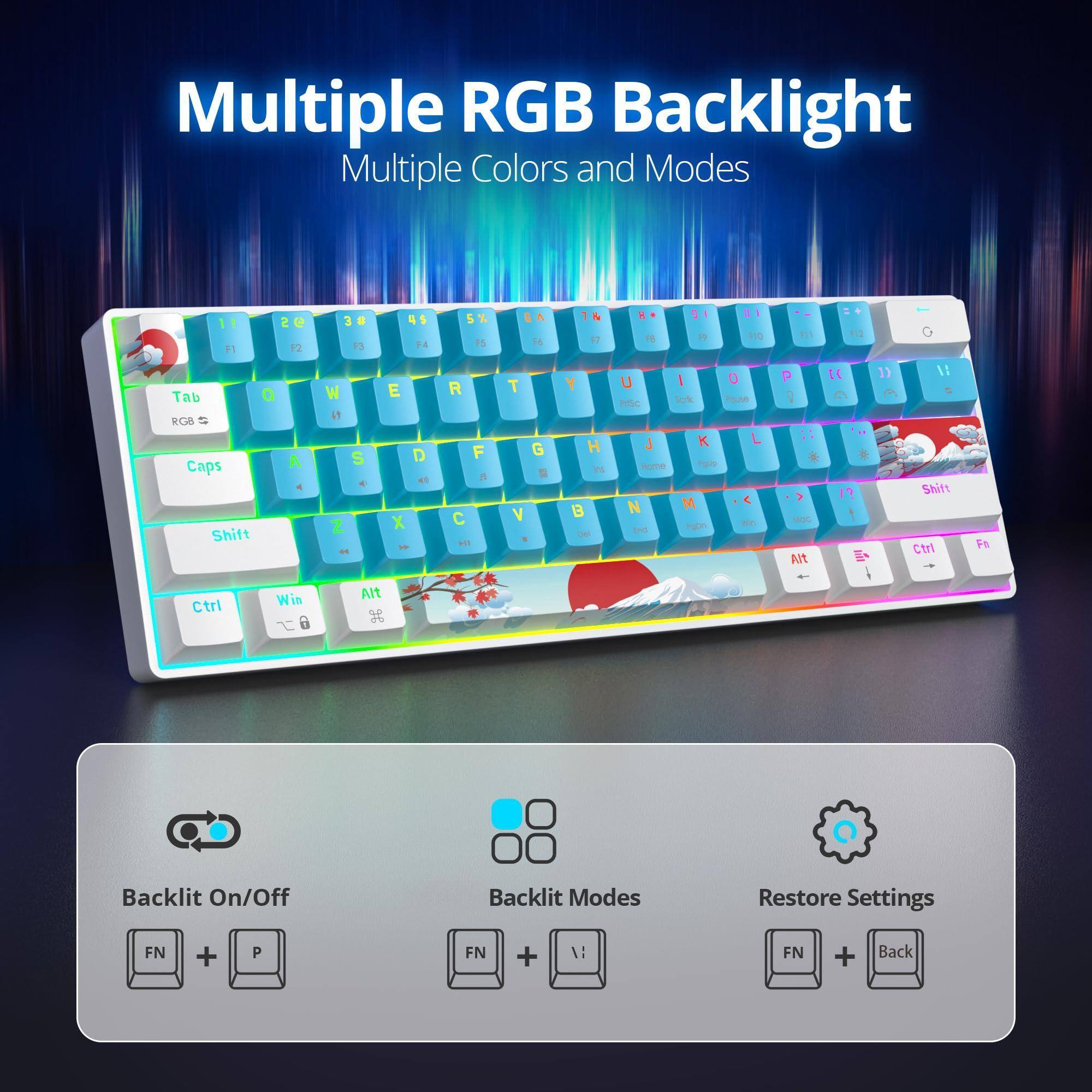 Multiple RGB Backlight  
Multiple Colors and Modes  

Backlit On/Off  
FN + P  

Backlit Modes  
FN + ;  

Restore Settings  
FN + Back