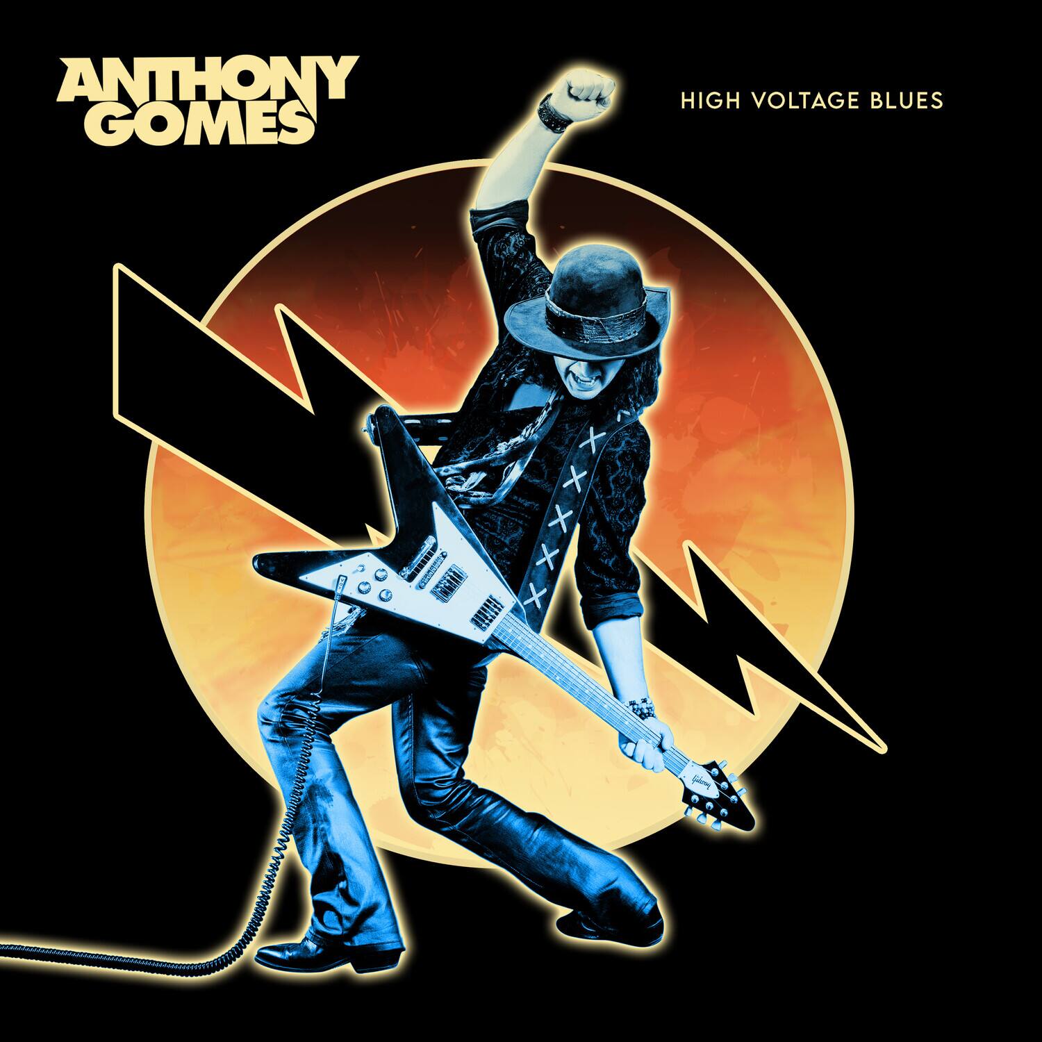 Anthony Gomes - High Voltage Blues   - VINYL LP price history on PriceWatchPro