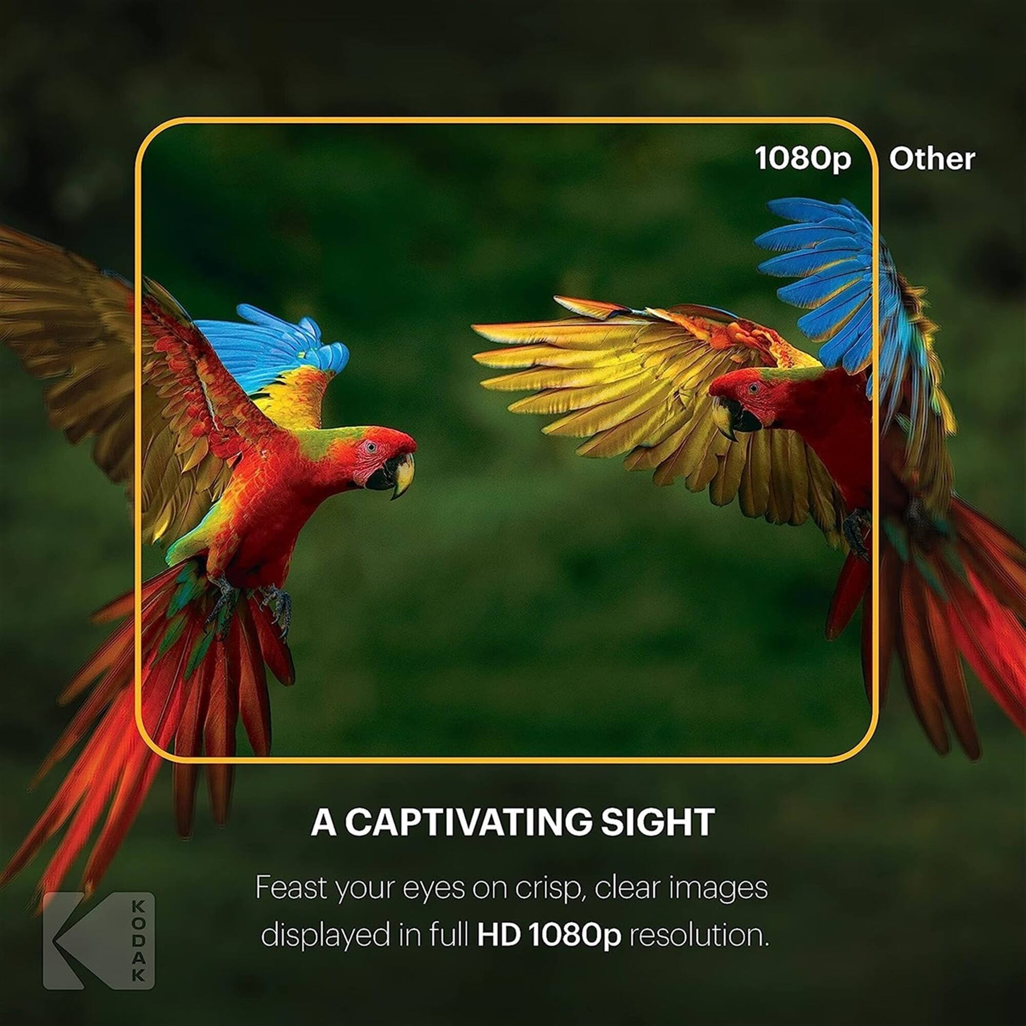 1080p Other

A CAPTIVATING SIGHT

Feast your eyes on crisp, clear images displayed in full HD 1080p resolution.