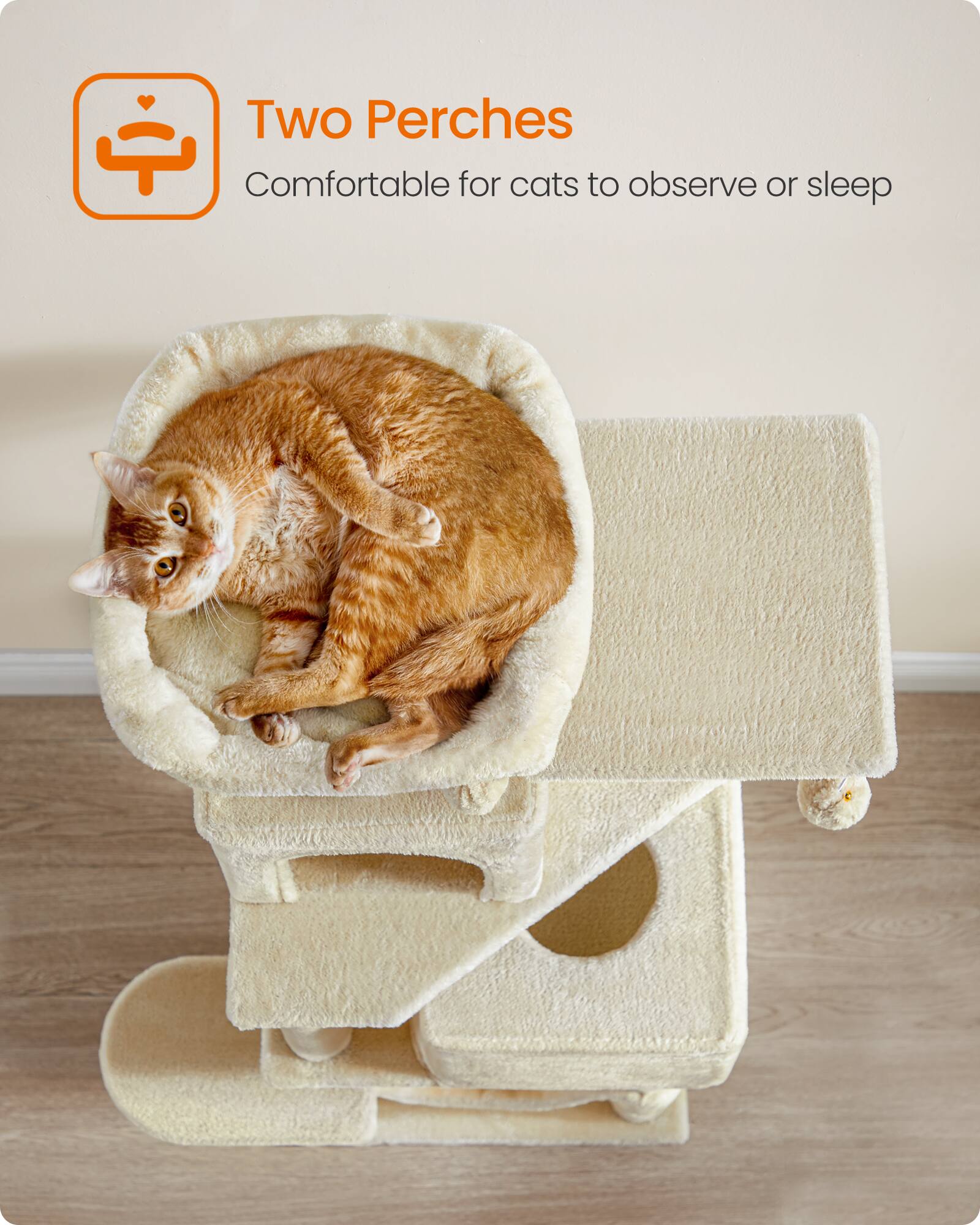 Two Perches  
Comfortable for cats to observe or sleep