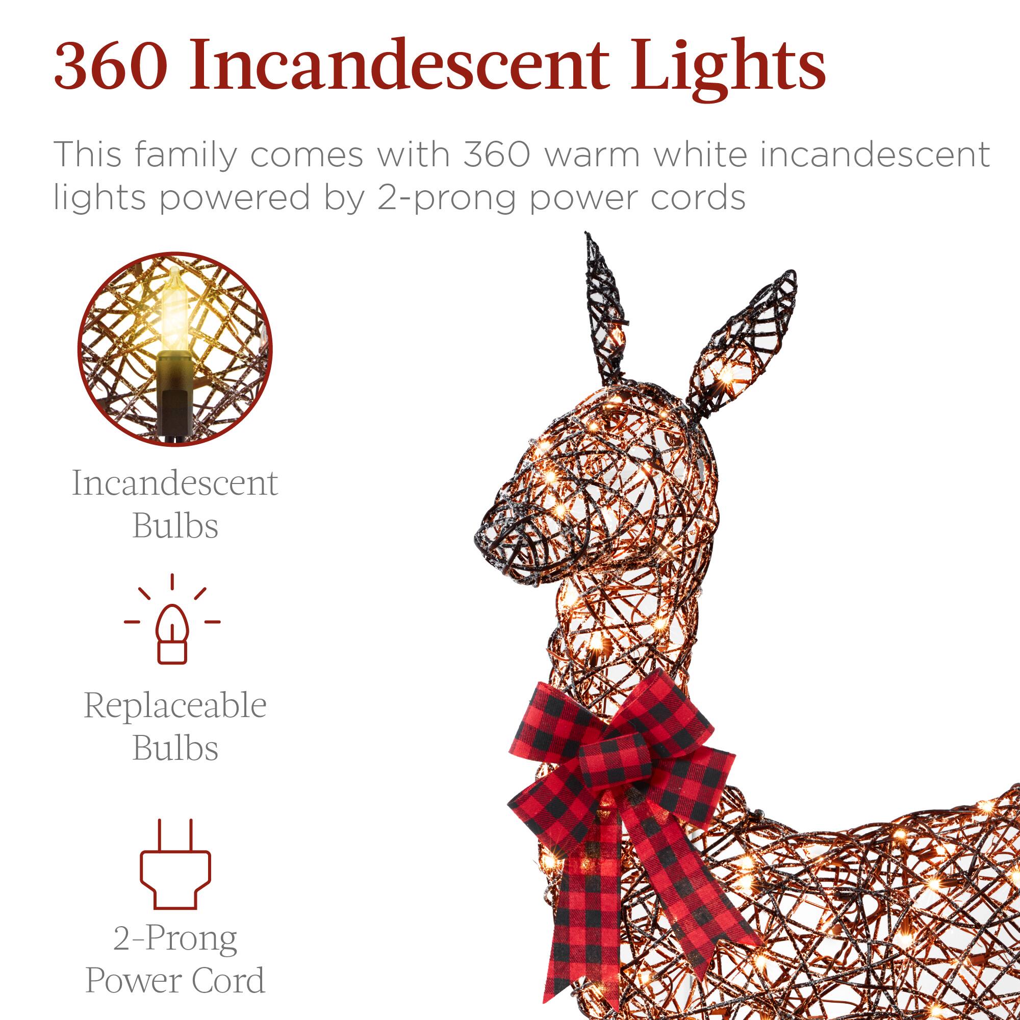 360 Incandescent Lights

This family comes with 360 warm white incandescent lights powered by 2-prong power cords

- Incandescent Bulbs
- Replaceable Bulbs
- 2-Prong Power Cord