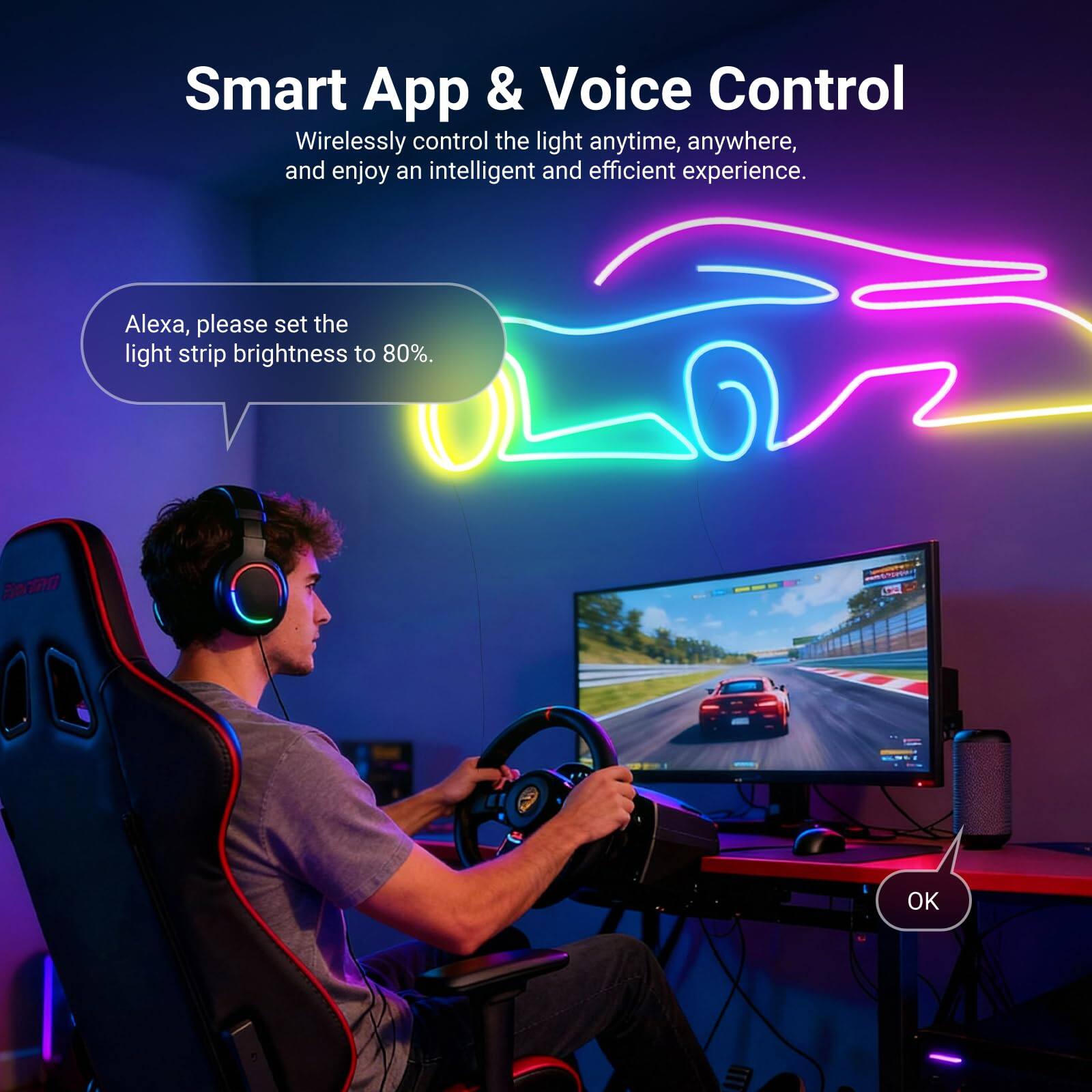 Smart App & Voice Control  
Wirelessly control the light anytime, anywhere, and enjoy an intelligent and efficient experience.  
Alexa, please set the light strip brightness to 80%.  
OK
