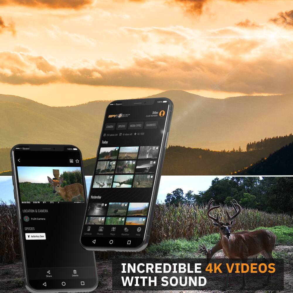 Sure, here is the corrected and grouped text:

---

**Today:**
- LOCATION & CAMERA
  - FLEX Camera
- SPECIES
  - Adult Female Doe

**Yesterday:**
- LOCATION & CAMERA
  - FLEX Camera
- SPECIES
  - (Various species shown in the images)

**INCREDIBLE 4K VIDEOS WITH SOUND**

**Camera Specs:**
- 30 fps photo burst
- 4K video
- 12MP

**Media Types:**
- 4K video
- 12MP photo

**Help Share Select**

**Camera Species:**
- (Various species shown in the images)

**FLEX Camera:**
- (Various images of animals)

**INCREDIBLE 4K VIDEOS WITH SOUND**

---