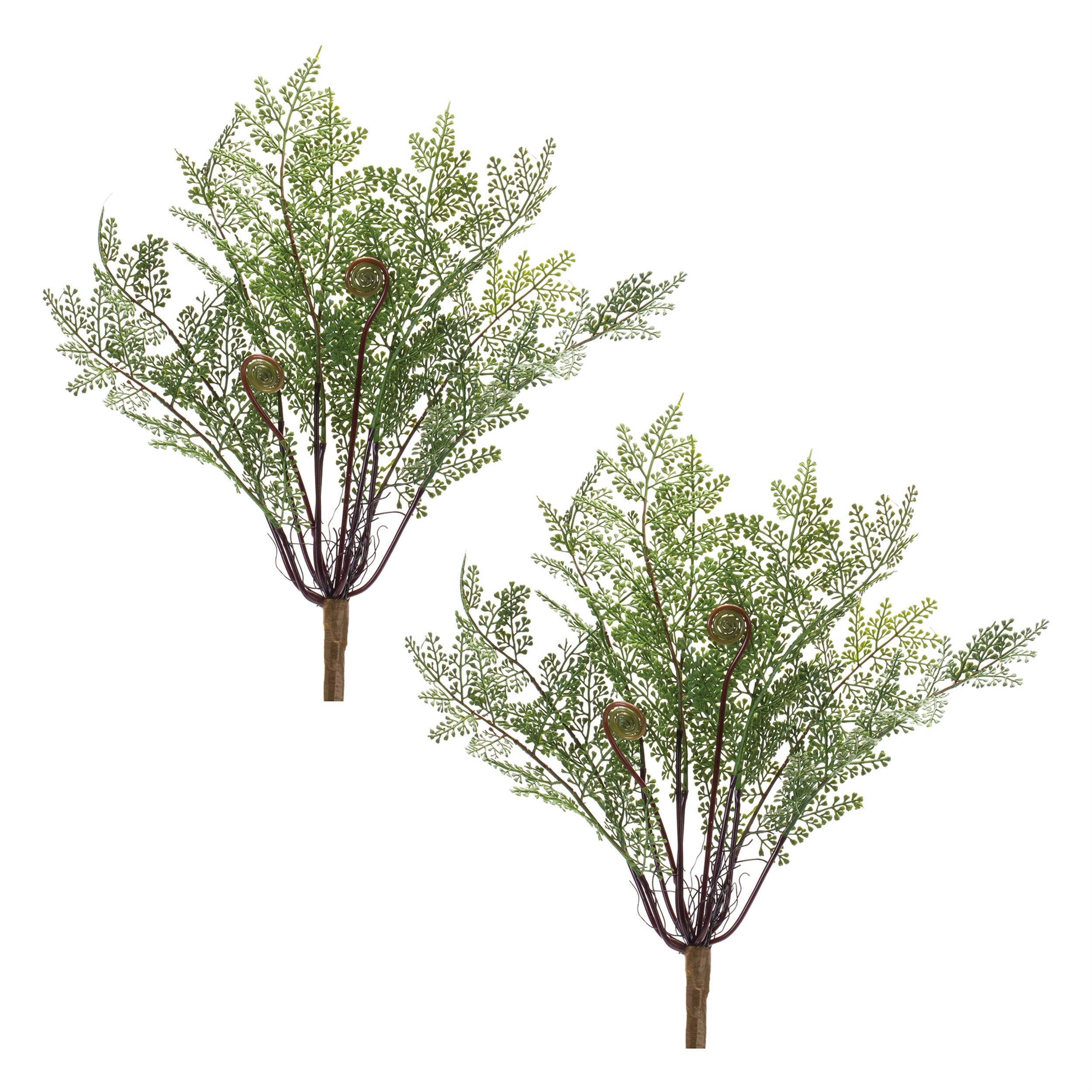 Left. BreeBe - Fern Bush (Set of 2) - Green, Brown.