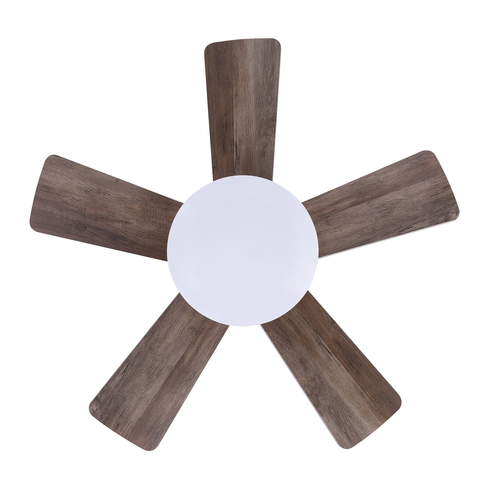 Alt View 9. Parrot Uncle - 24 in. Integrated LED Natural Brass Gold Flush Mount Ceiling Fan with Light and Remote - NBR.