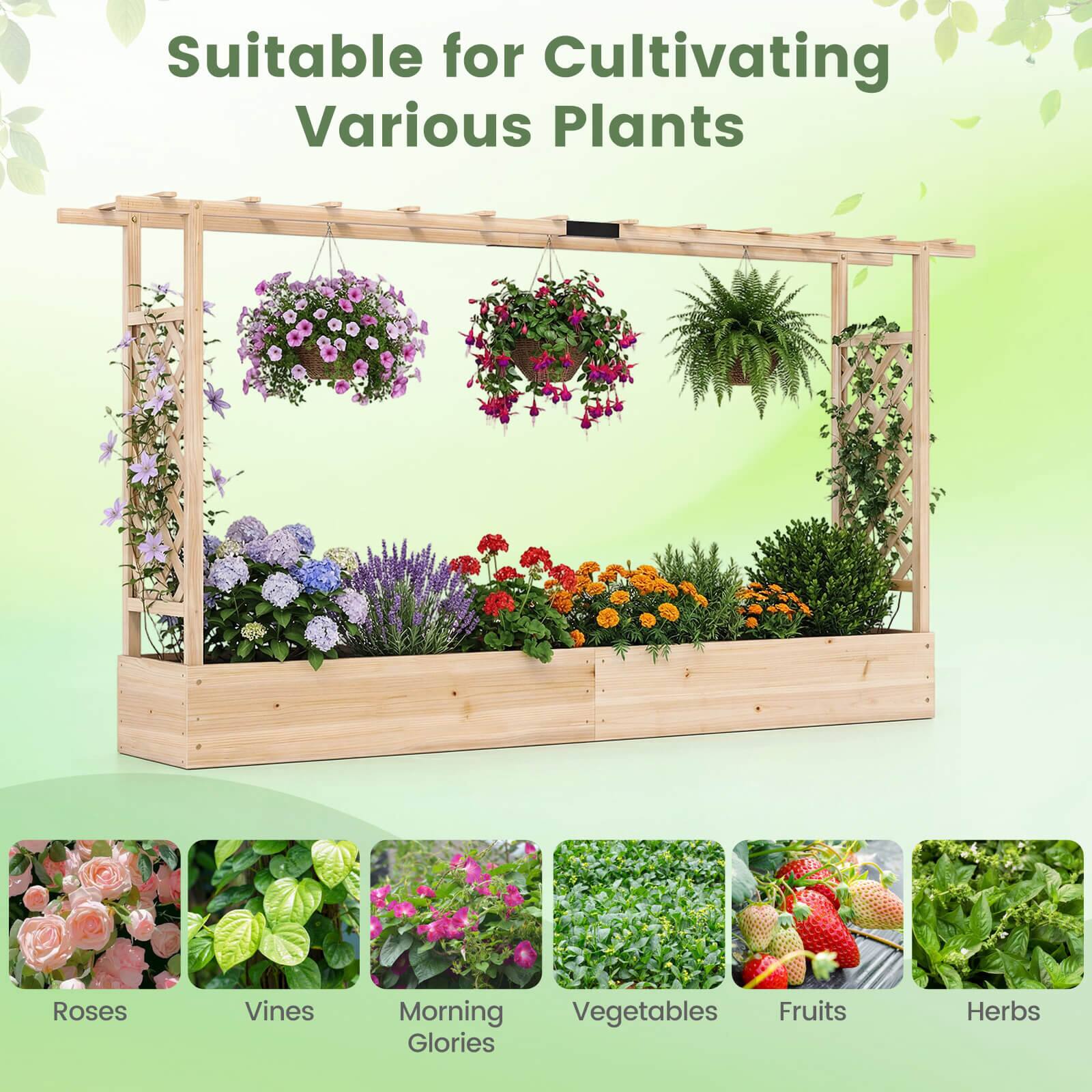 Suitable for Cultivating Various Plants

- Roses
- Vines
- Morning Glories
- Vegetables
- Fruits
- Herbs