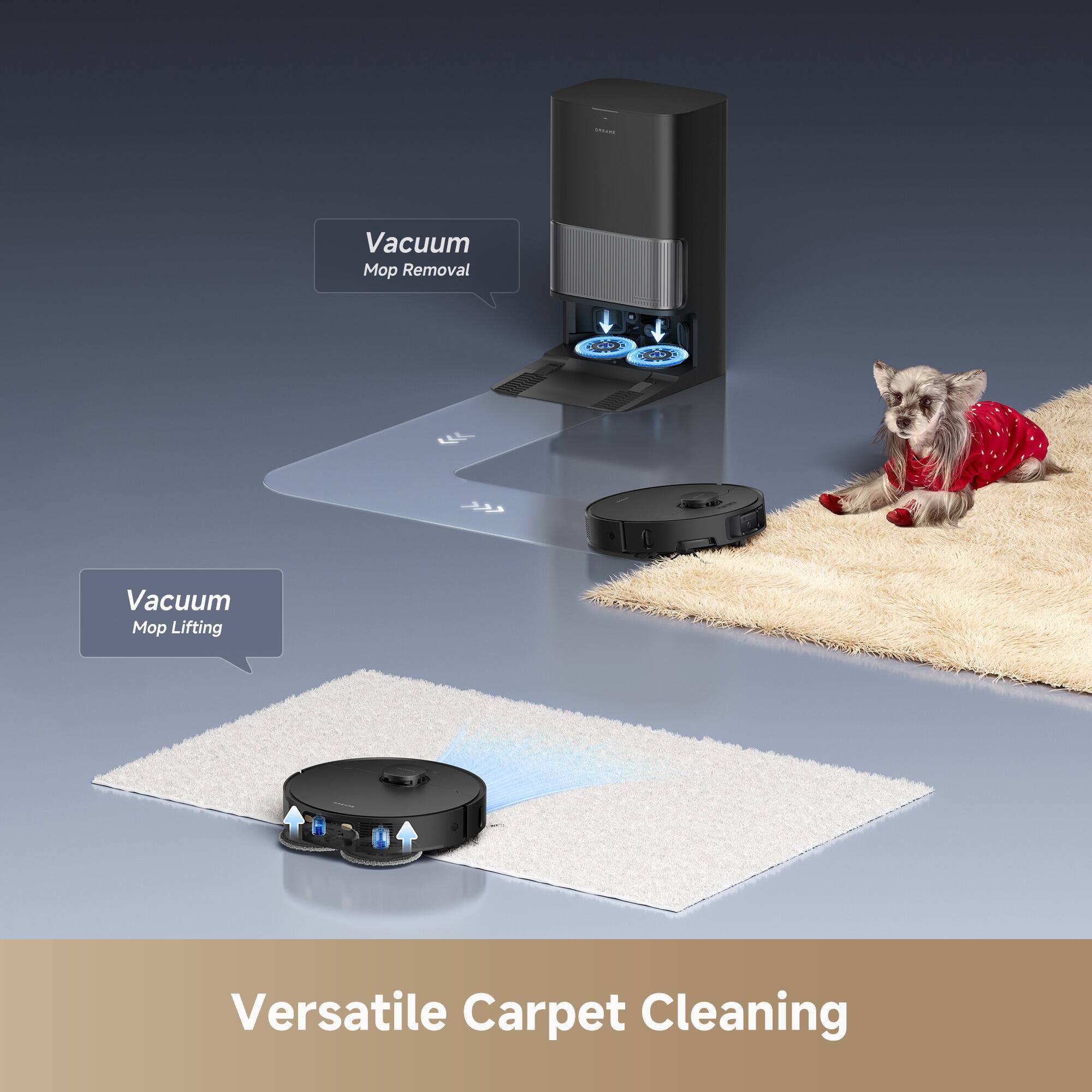 - Vacuum Mop Removal
- Vacuum Mop Lifting
- Versatile Carpet Cleaning