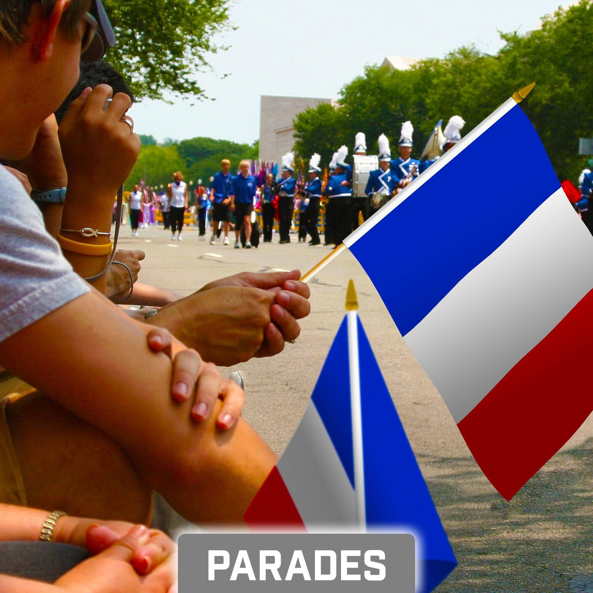 Alt View 1. G128 - 12-Pack Handheld France Flags — 8 x 12 in, 150D Polyester, Wooden Stick with Gold Spear. - Assorted Colors.