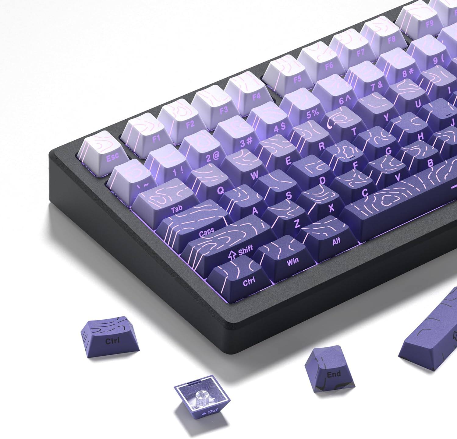 Purple-Cherry