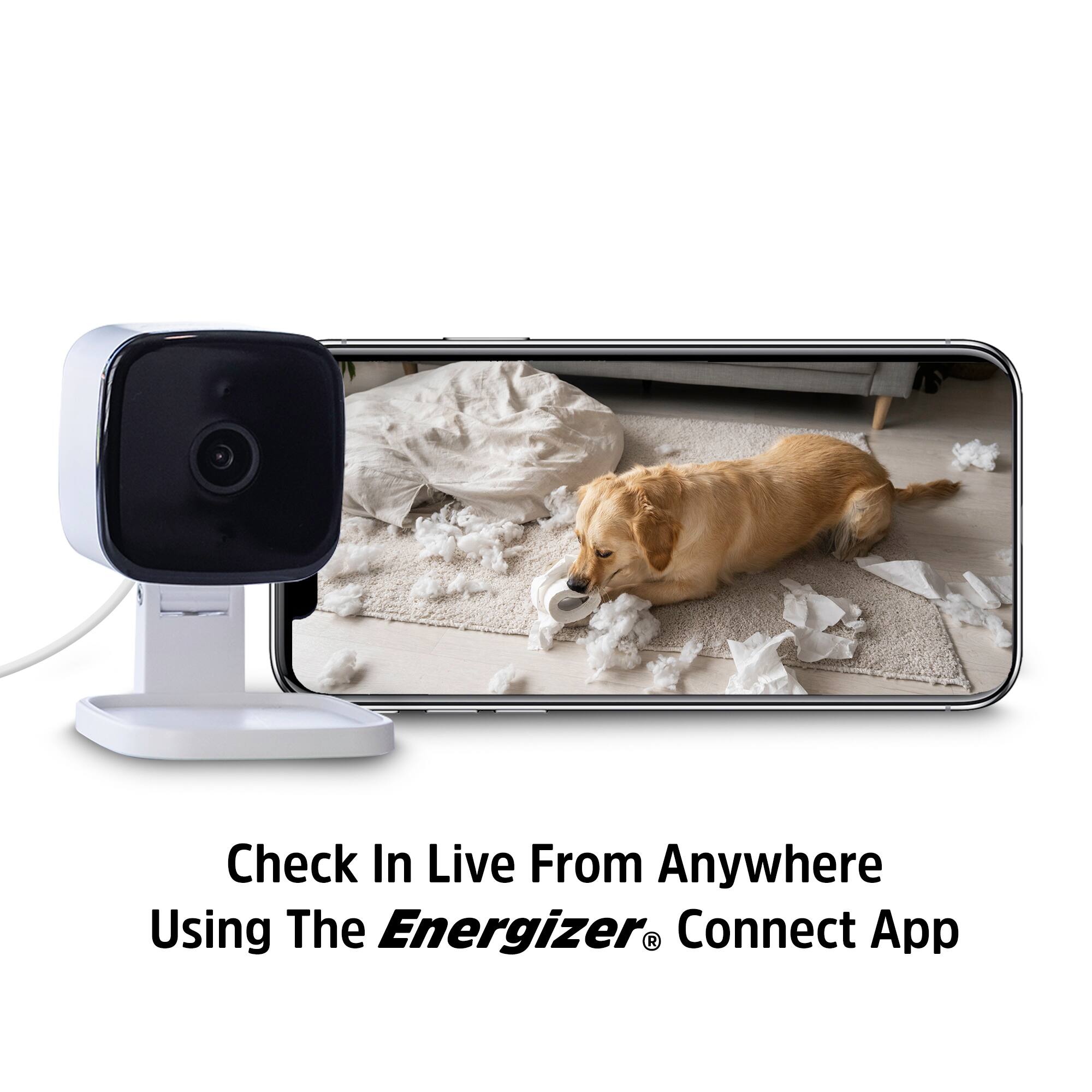 Check In Live From Anywhere Using The Energizer® Connect App