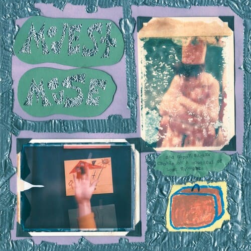 Modest Mouse - Sad Sappy Sucker  - VINYL LP