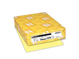 Exact - 110 lb. Cardstock Paper, 8.5" x 11", 250 Sheets/Pack (49541) - Canary