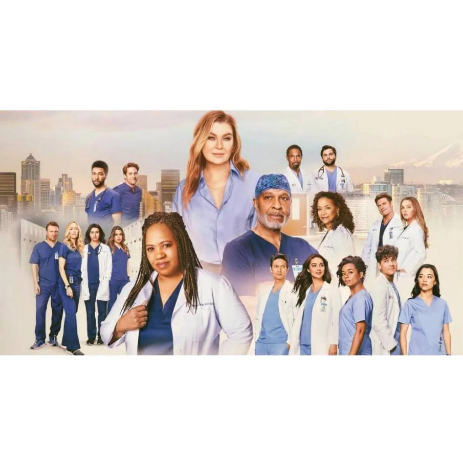 Back. Grey's Anatomy Complete Series Season 1-21 (DVD.