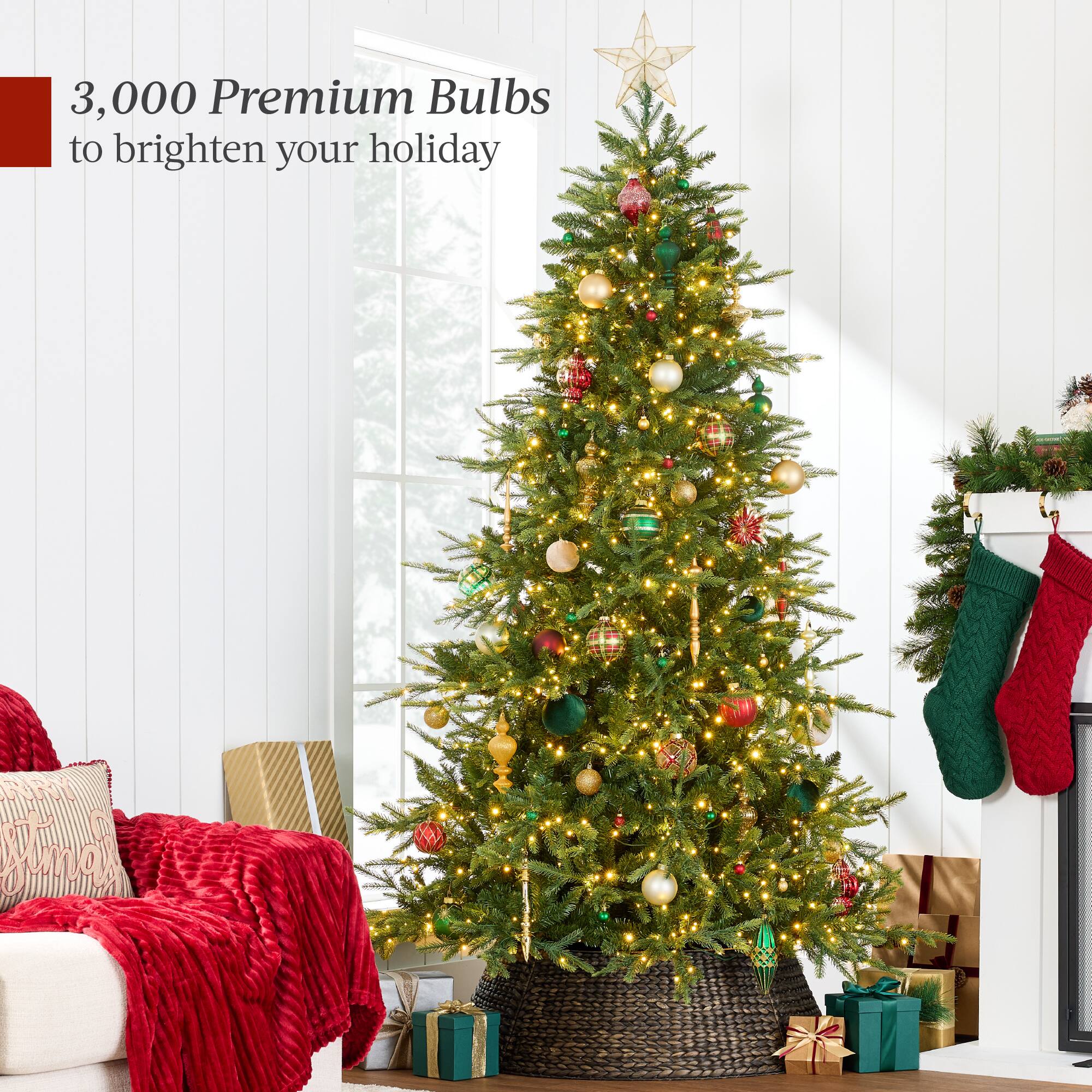 3,000 Premium Bulbs to brighten your holiday