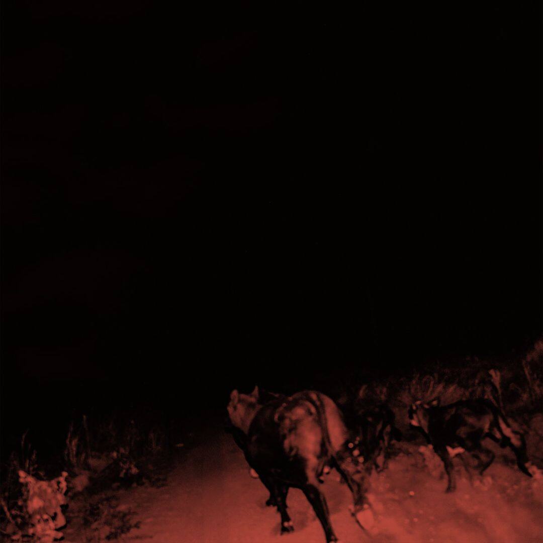 Front. Shadow on Everything [LP].