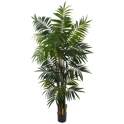 Front. BreeBe - 6' Bulb Areca Palm Tree w/534 Lvs - Green.