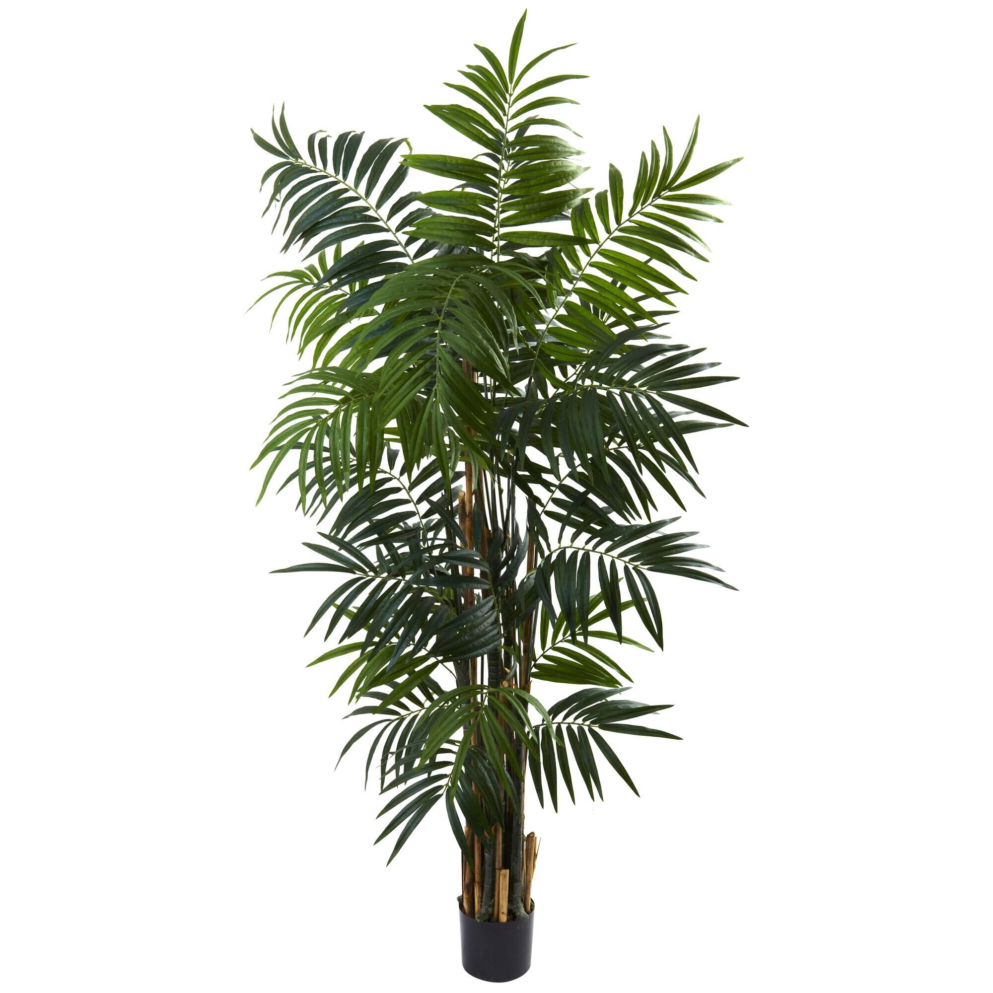 Front. BreeBe - 6' Bulb Areca Palm Tree w/534 Lvs - Green.