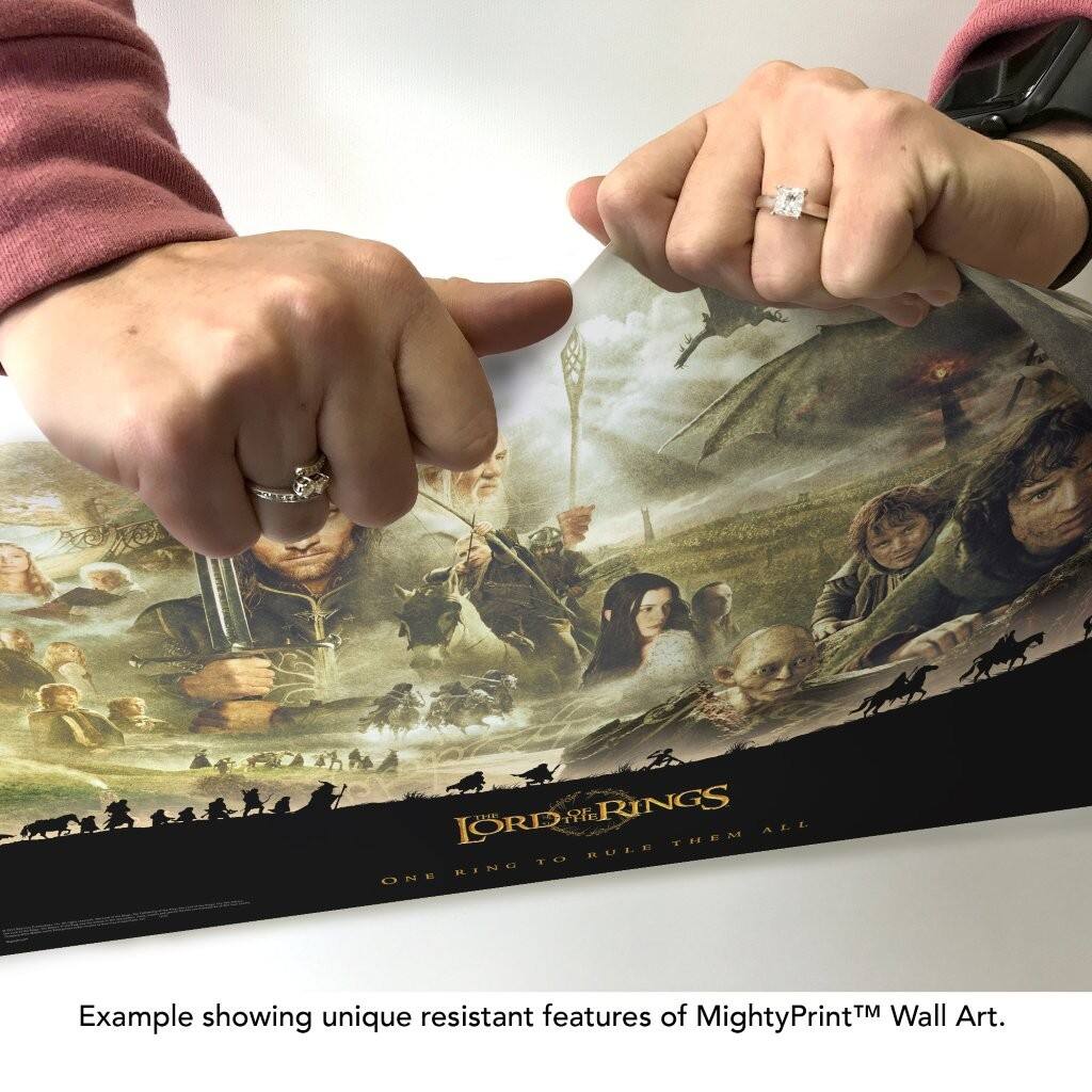 "Example showing unique resistant features of MightyPrint™ Wall Art."