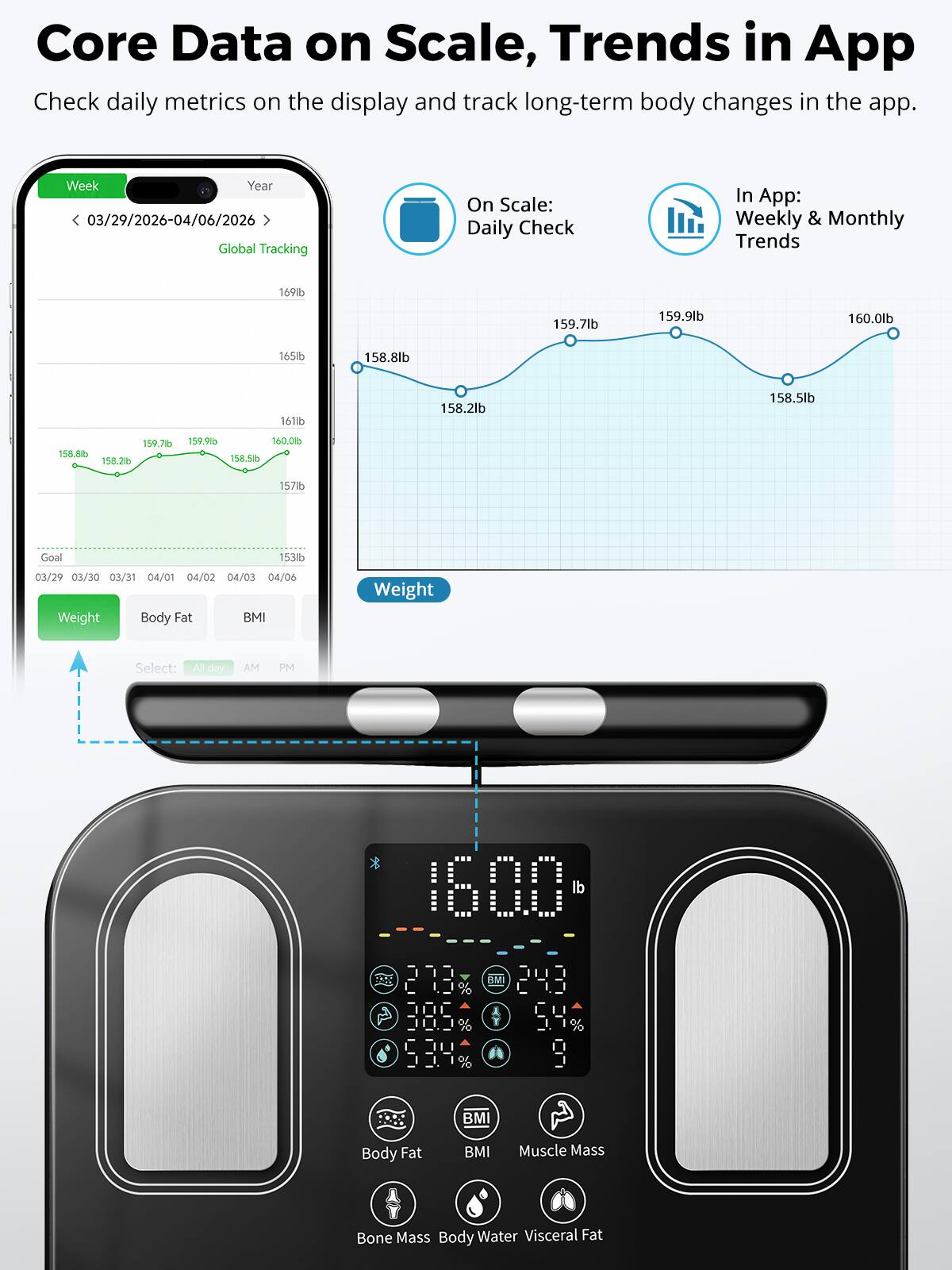 Core Data on Scale, Trends in App  
Check daily metrics on the display and track long-term body changes in the app.  

Week Year 03/29/2026-04/06/2026 Global Tracking  
On Scale: Daily Check  
In App: Weekly & Monthly Trends  

169lb  
159.7lb  
159.9lb  
160.0lb  
165lb  
158.8lb  
158.2lb  
158.5lb  
157lb  
Goal  
153lb  

03/29 03/30 03/31 04/01 04/02 04/03 04/06  
Weight Body Fat BMI  

Weight  
Select:  
All day  
AM  
PM  

00 1600 lb  
213, RAS 9:34  
243 54 9  

BMI  
Body Fat  
BMI  
Muscle Mass  
Bone Mass Body Water Visceral Fat