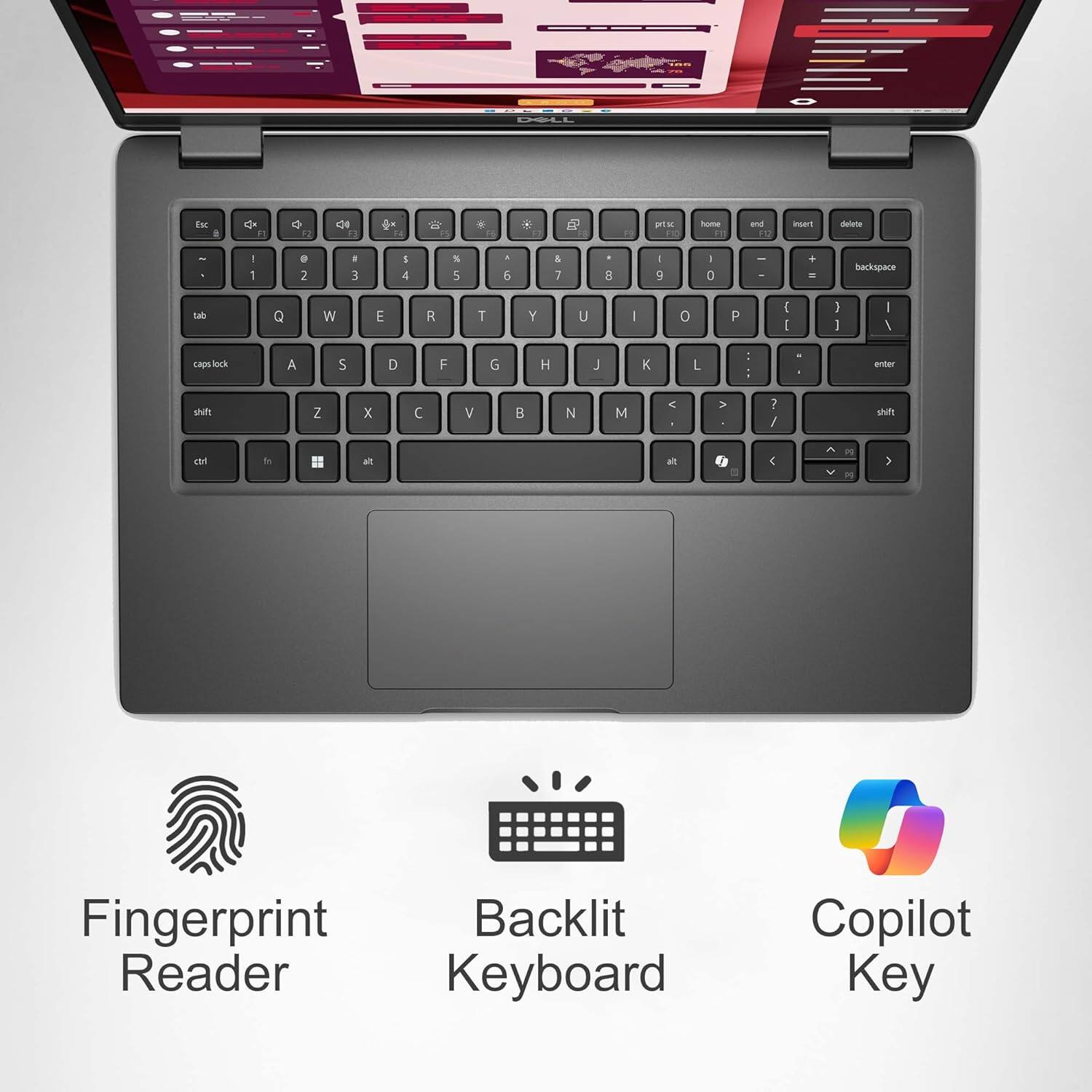 Fingerprint Reader  
Backlit Keyboard  
Copilot Key