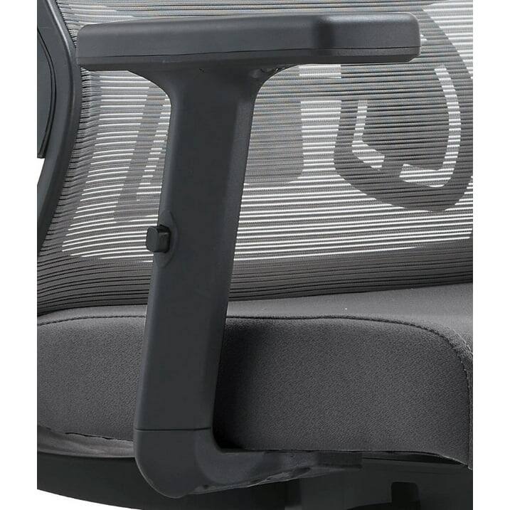 LeisureMod Dale Ergonomic Office Chair with Mesh Back, Lumbar Support ...