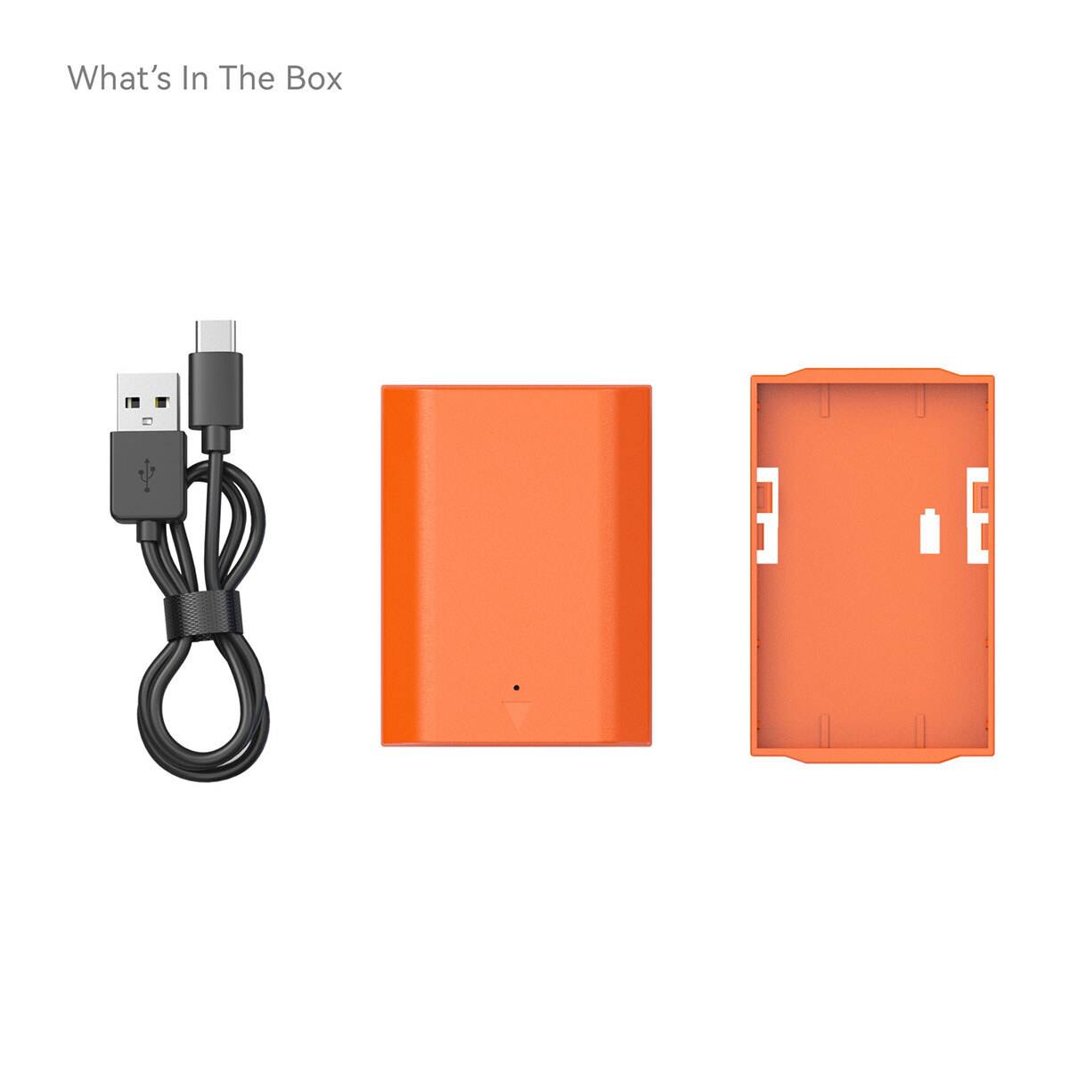 What's In The Box