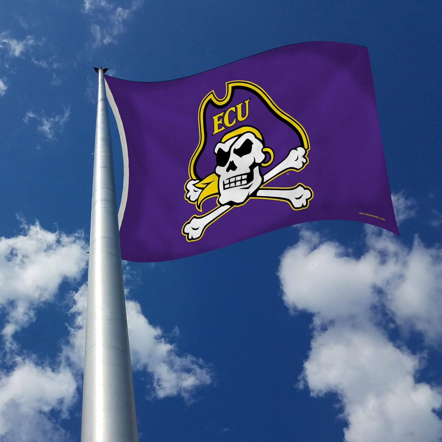 Alt View 2. Rico Industries - East Carolina Pirates 3X5 Indoor Outdoor Banner Flag w/grommets for hanging - Multi.