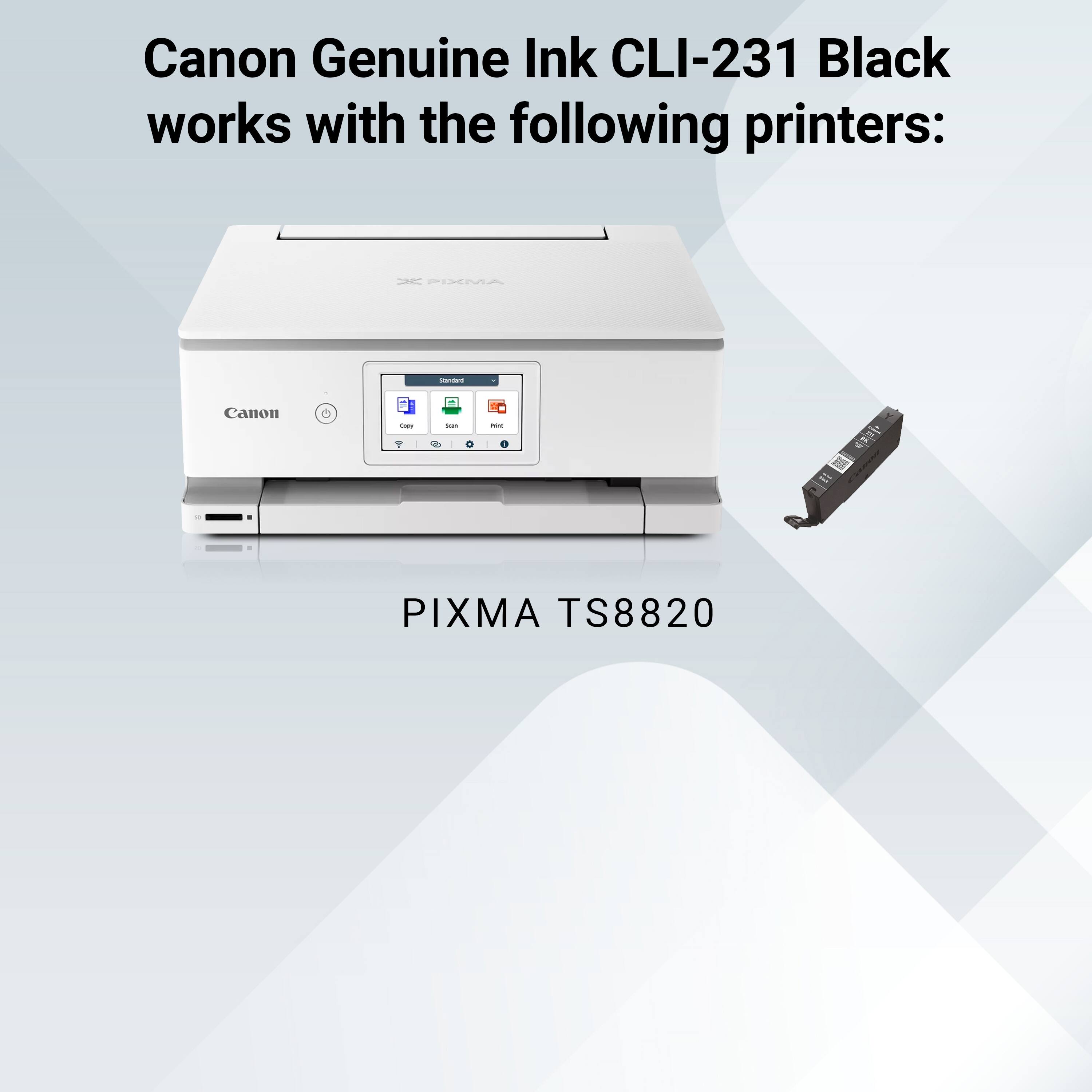 Canon Genuine Ink CLI-231 Black works with the following printers:

PIXMA TS8820