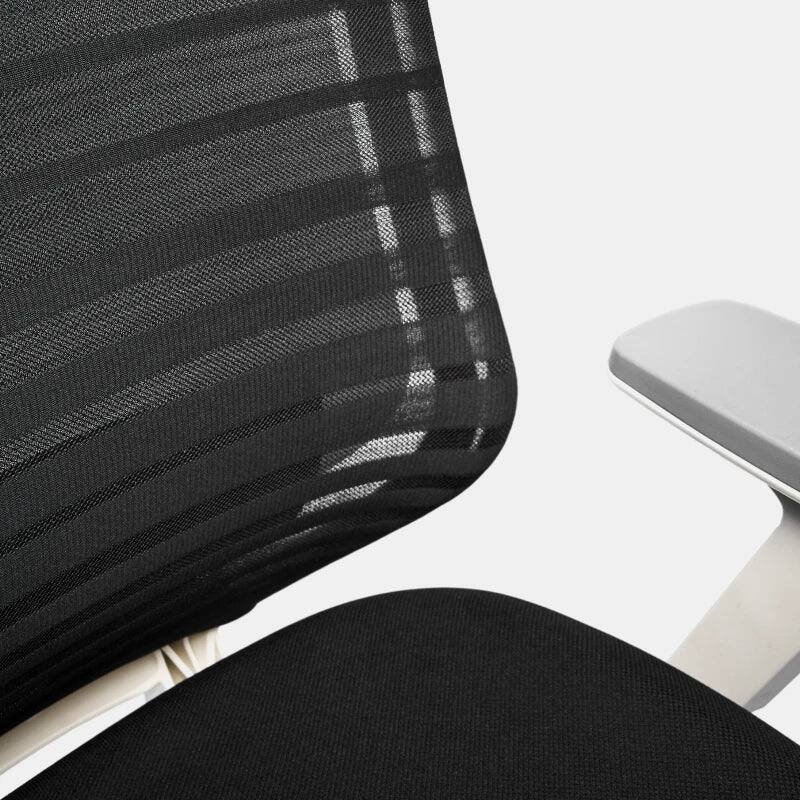 Back. Branch Furniture - Branch Ergonomic Chair – Adjustable Office Chair for All-Day Comfort with Lumbar Support and Recycled Mesh Back - Black.