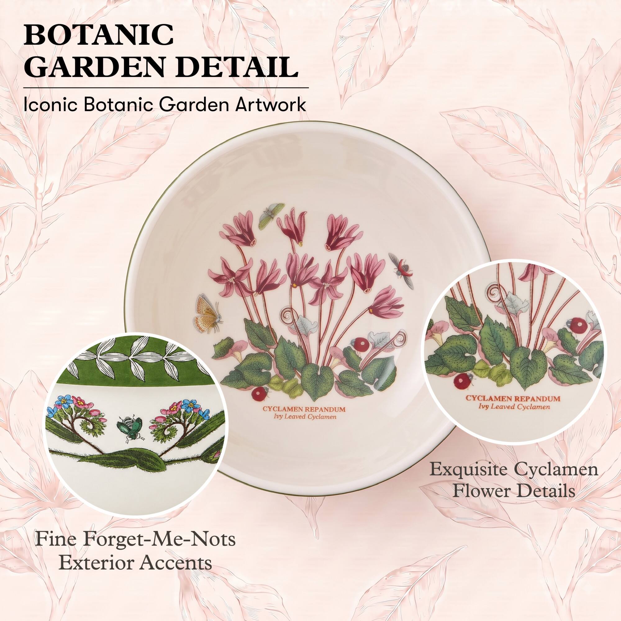 BOTANIC GARDEN DETAIL  
Iconic Botanic Garden Artwork

CYCLAMEN REPANDUM  
Ivy Leaved Cyclamen

Exquisite Cyclamen Flower Details

Fine Forget-Me-Nots Exterior Accents