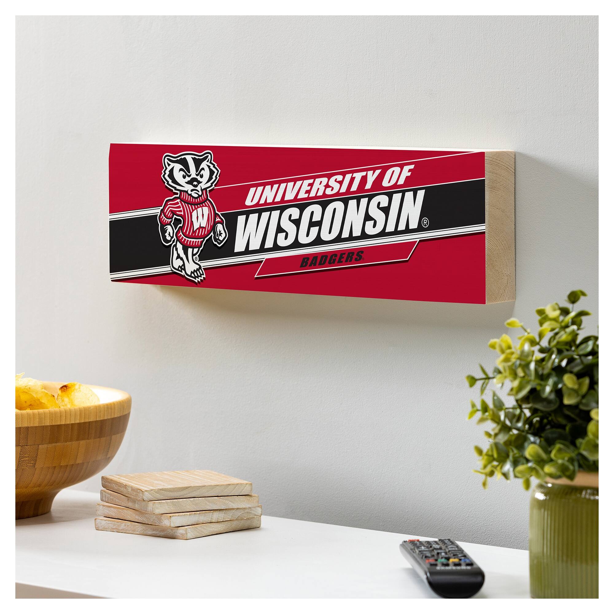 UNIVERSITY OF WISCONSIN  
BADGERS