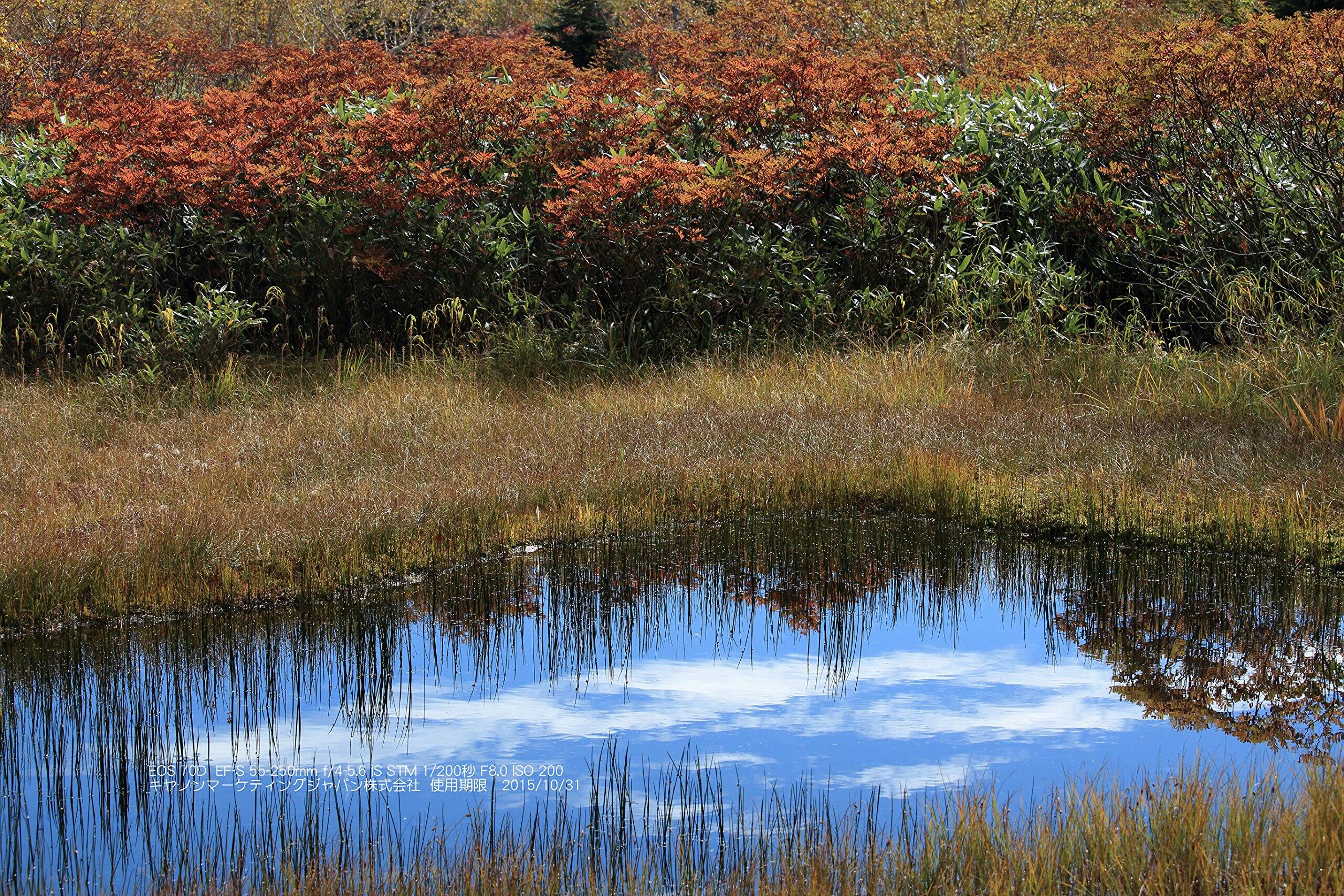 EOS YOD EFS 55-250mm f/4-5.6 IS STM  
1/2000 F8.0  
ISO 200  
2015/10/31