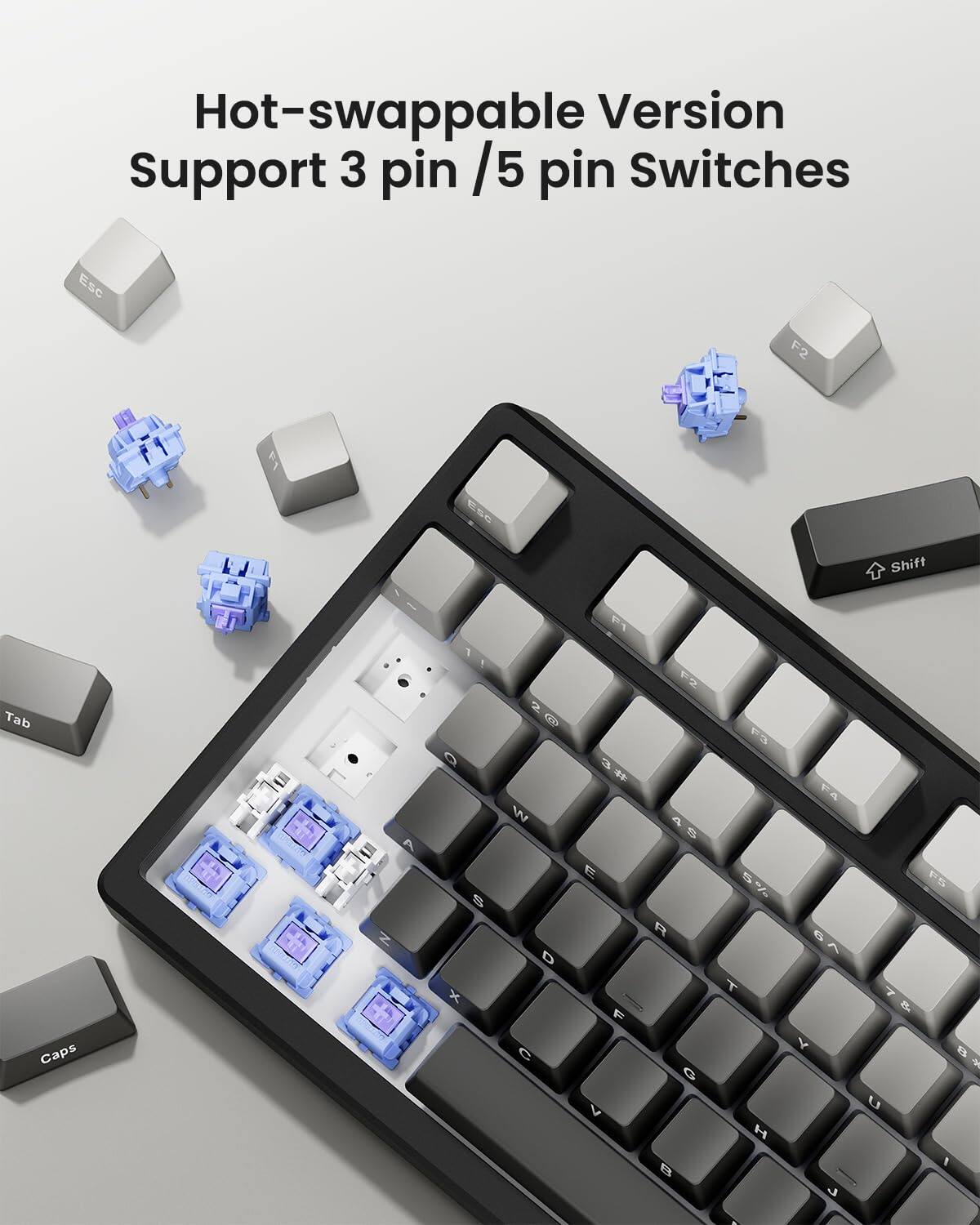 Hot-swappable Version Support 3 pin / 5 pin Switches